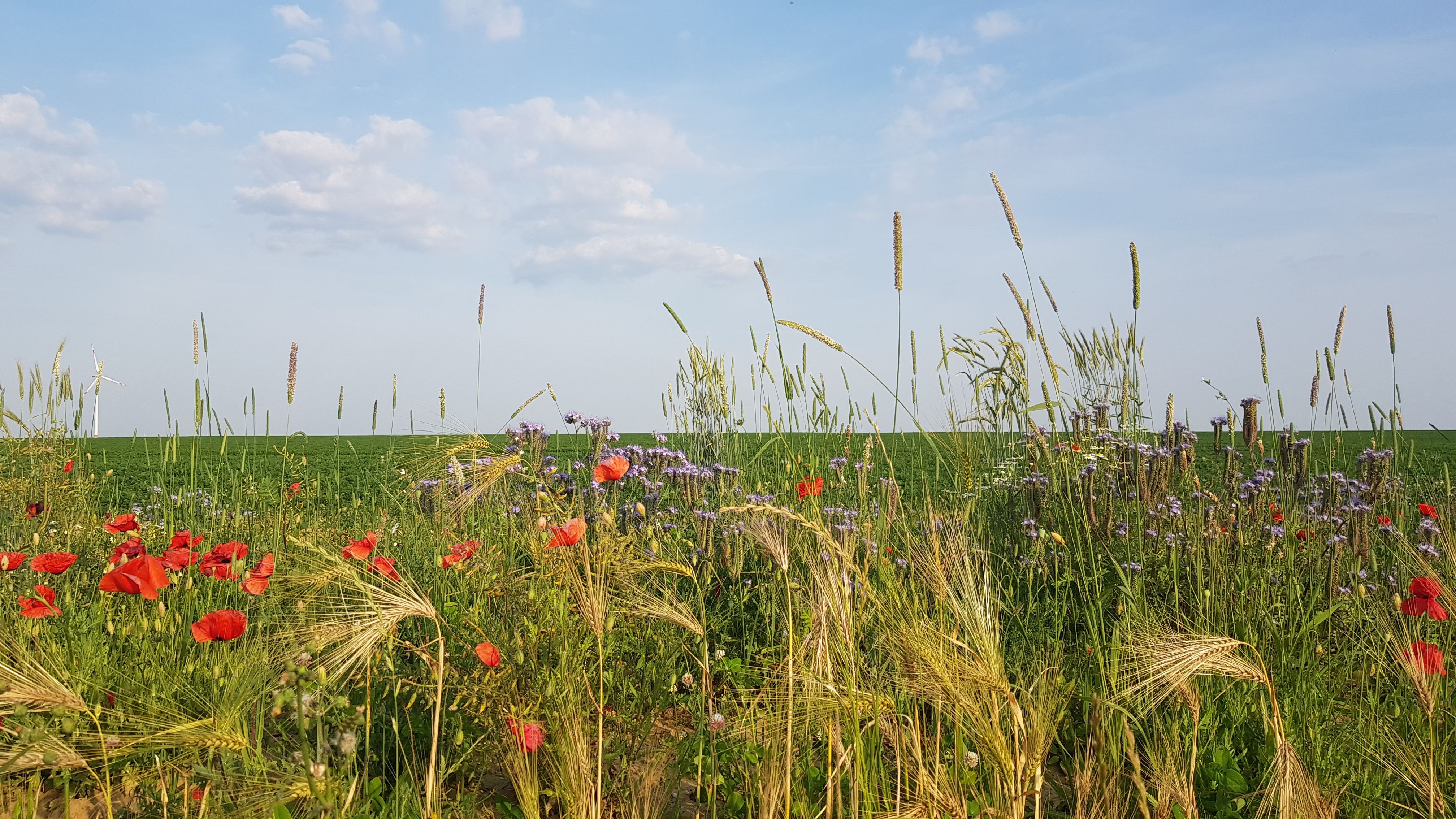 20190625_193544.jpg
