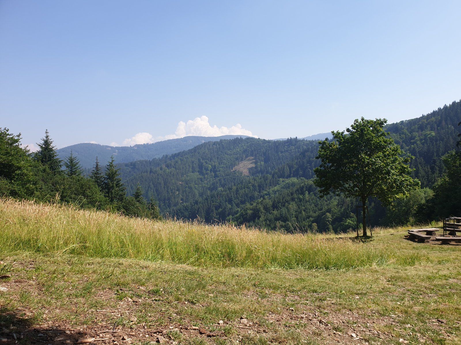 20190627_161630.jpg