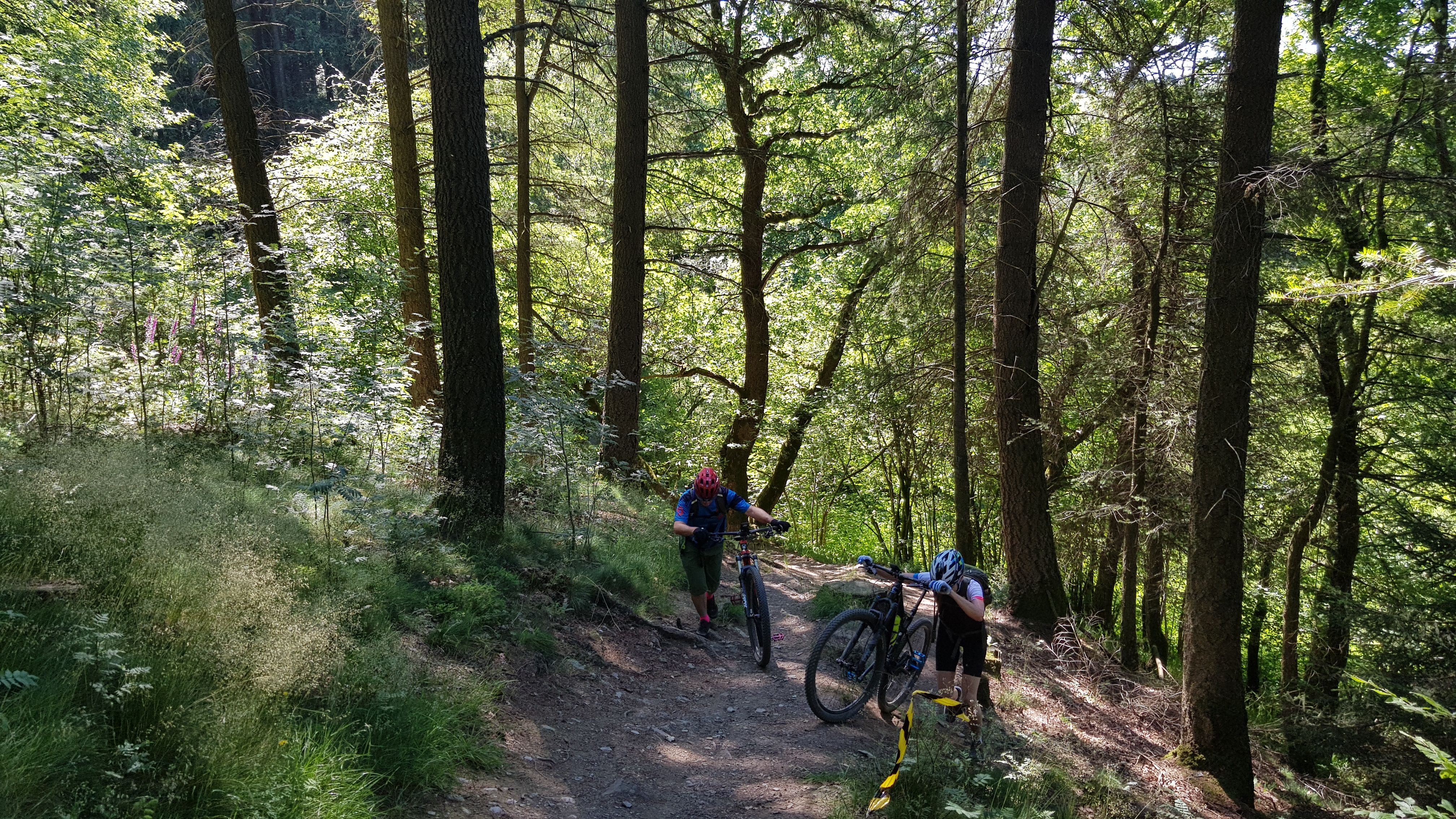 20190629_110554.jpg