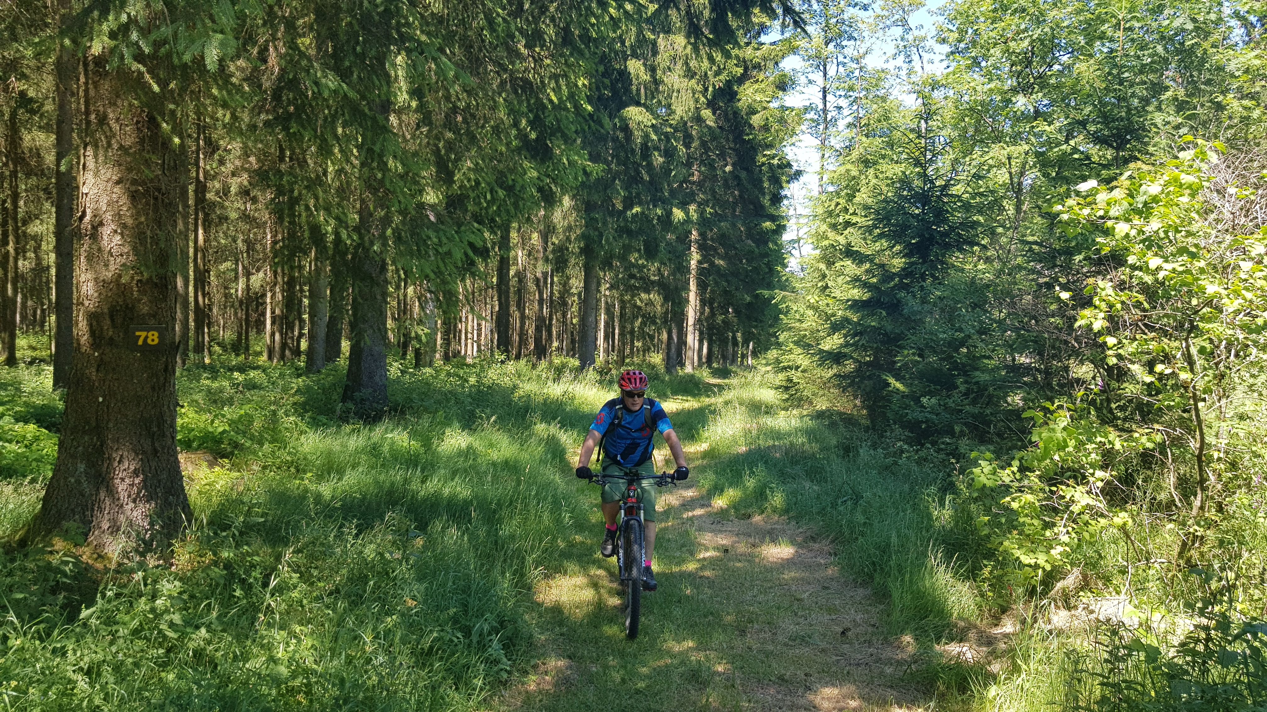 20190629_140633.jpg