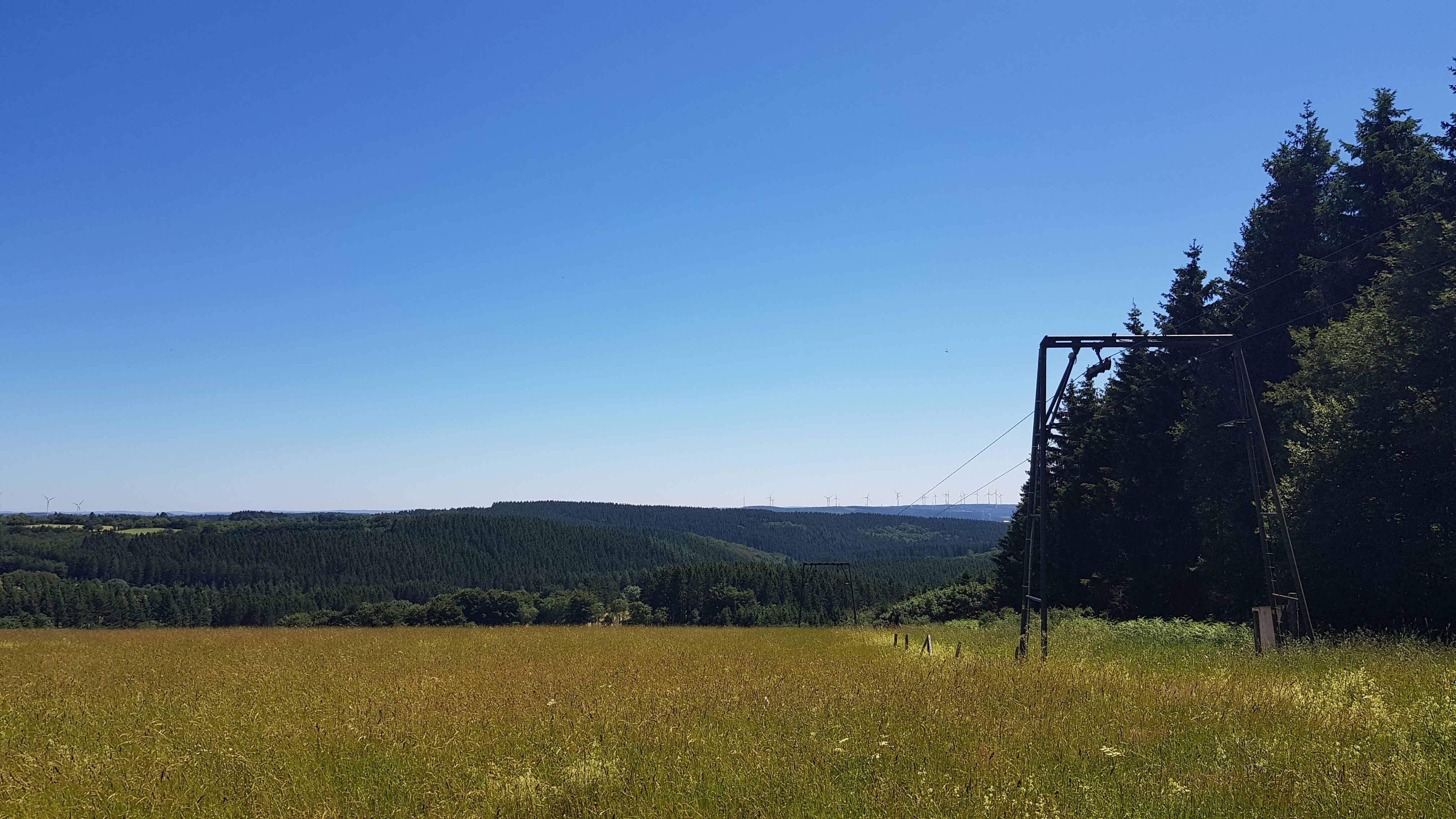 20190629_141012.jpg