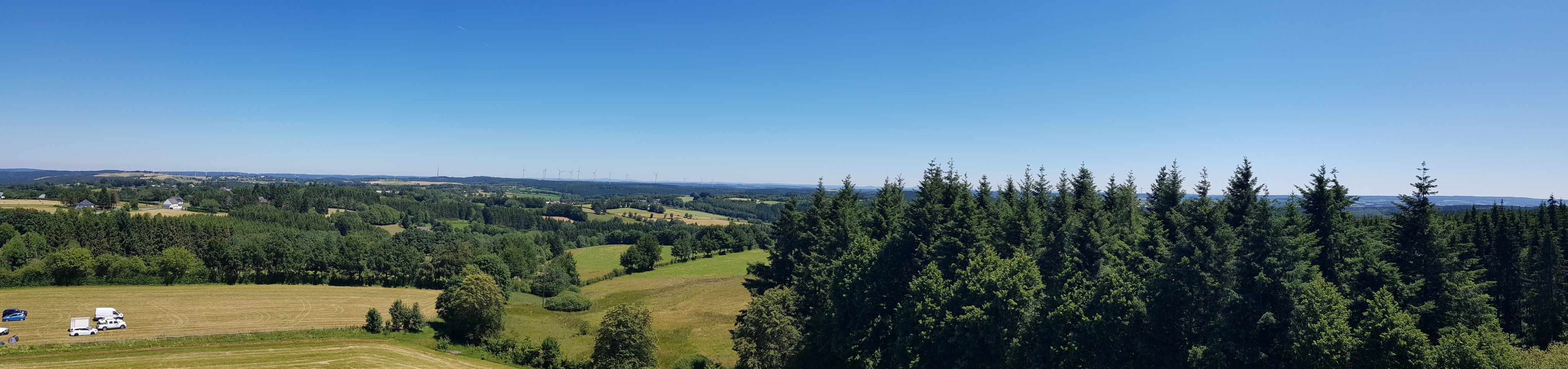20190629_141500.jpg