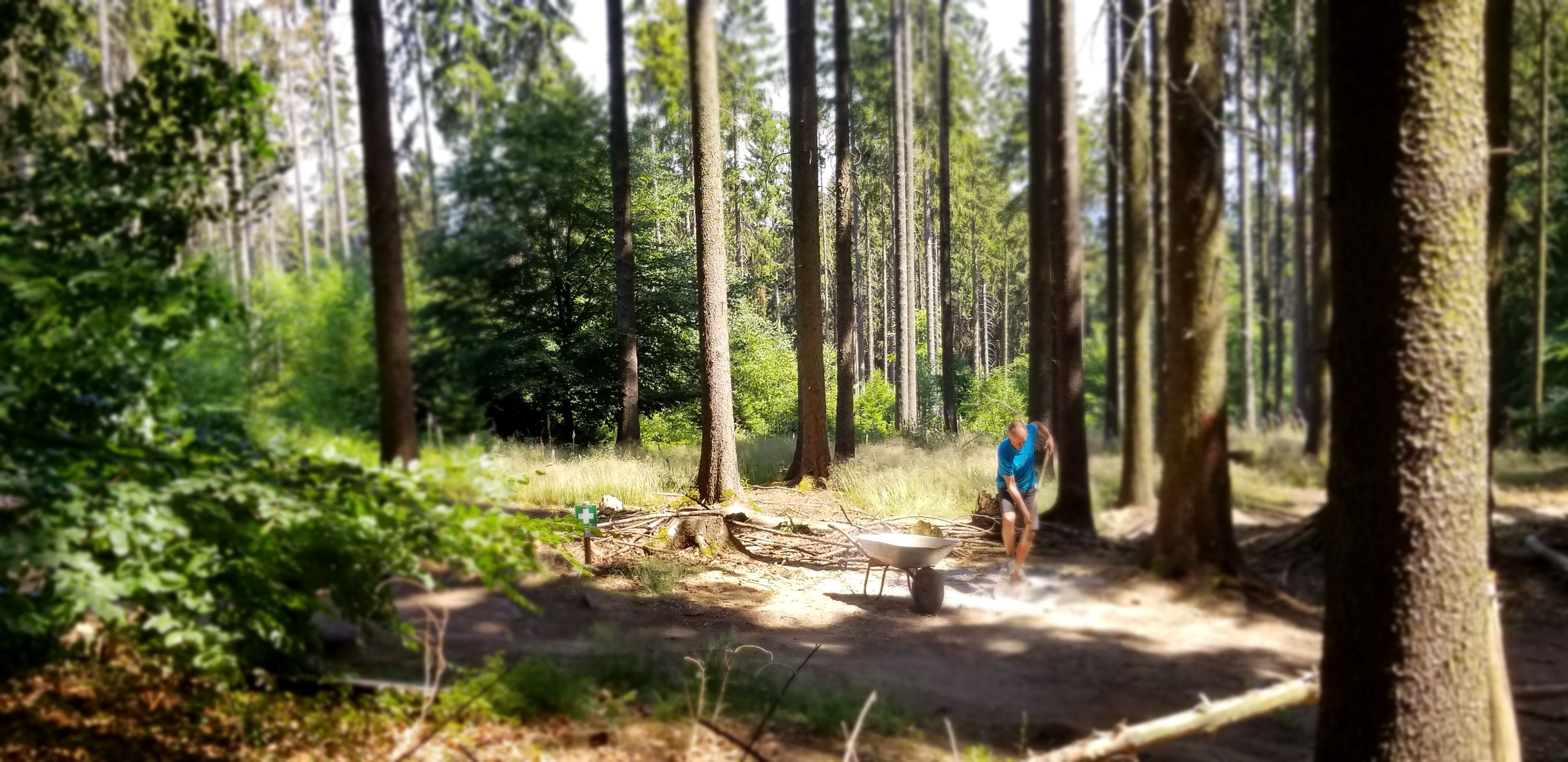 20190630_144351.jpg