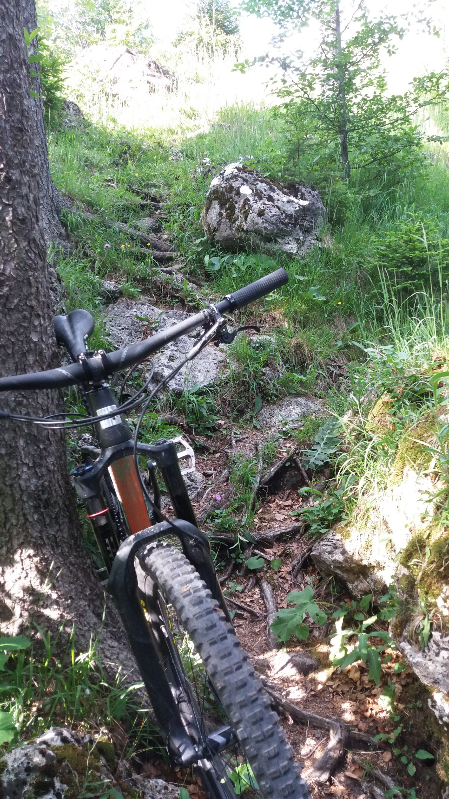 20190706_171017.jpg