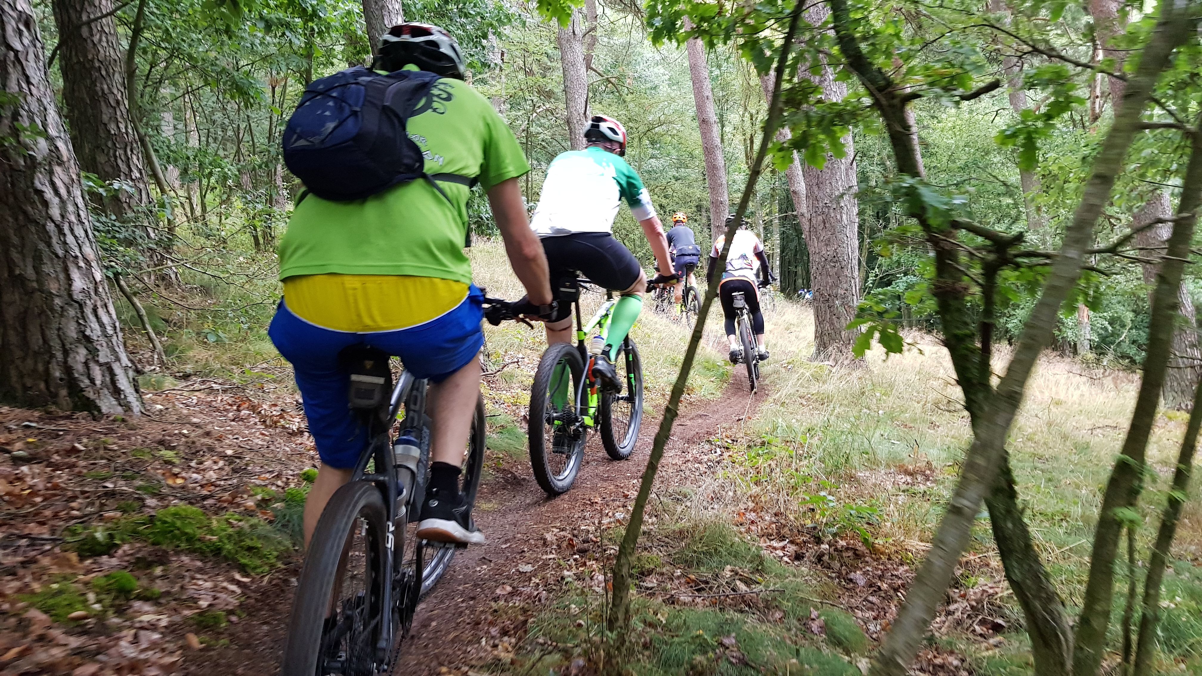 20190714_101012.jpg