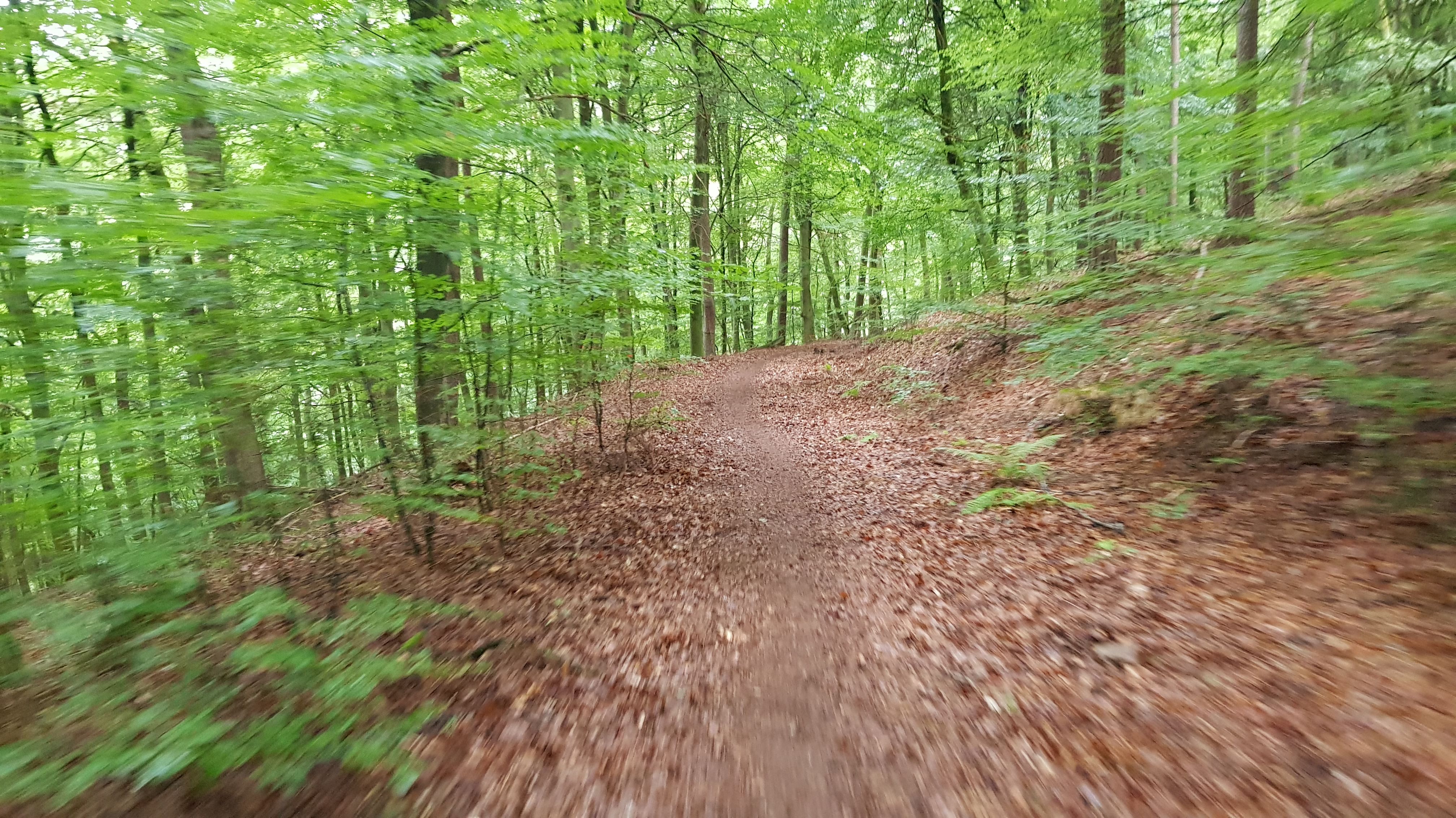 20190714_110314.jpg