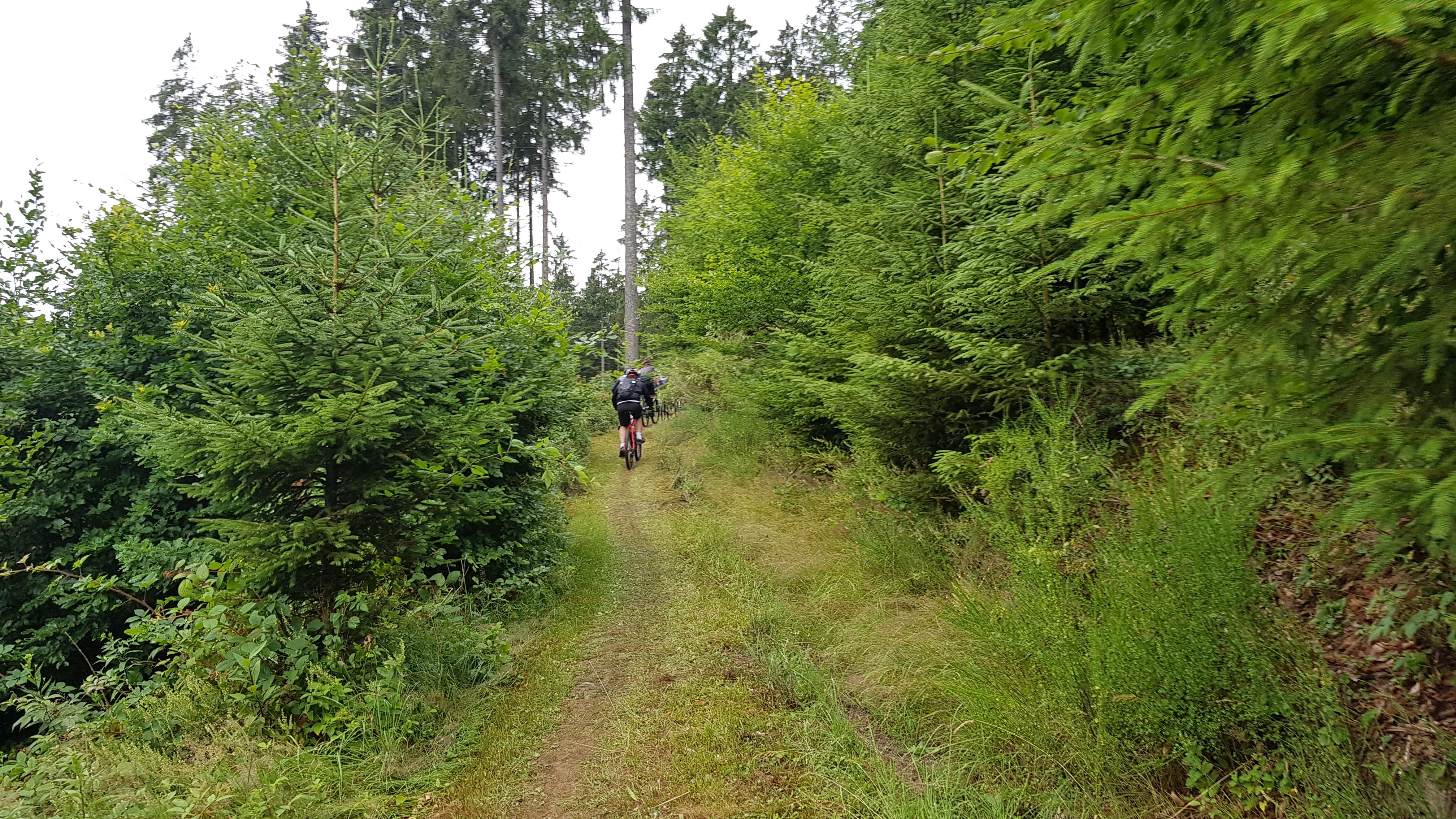 20190714_112607.jpg