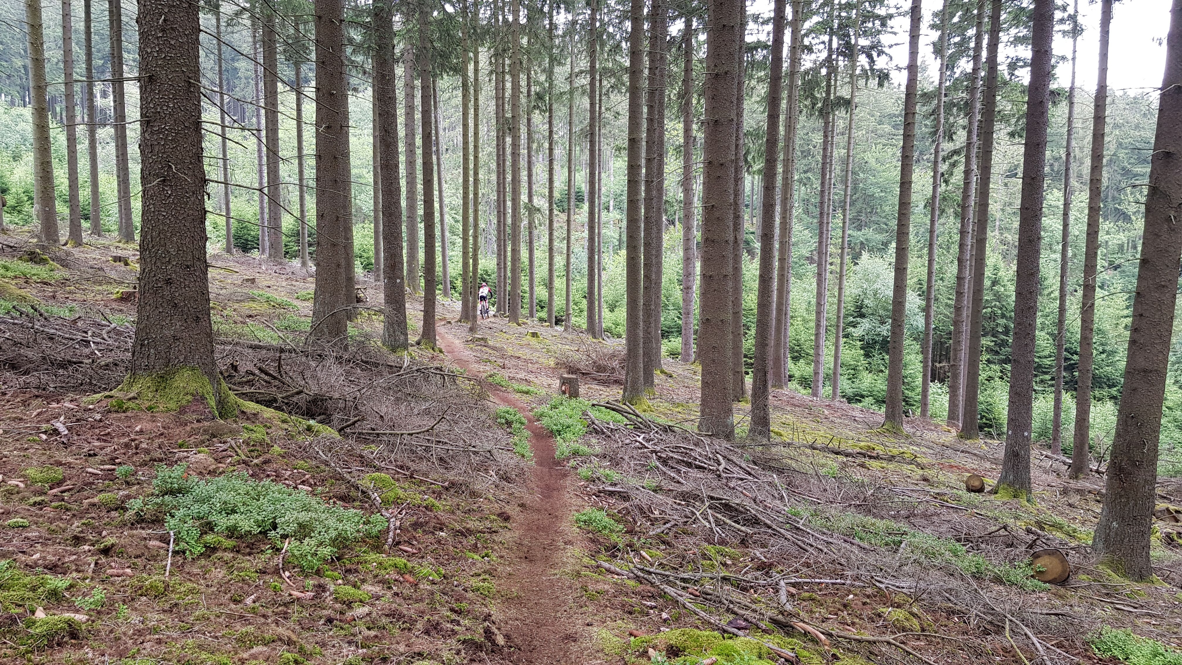 20190714_123403.jpg