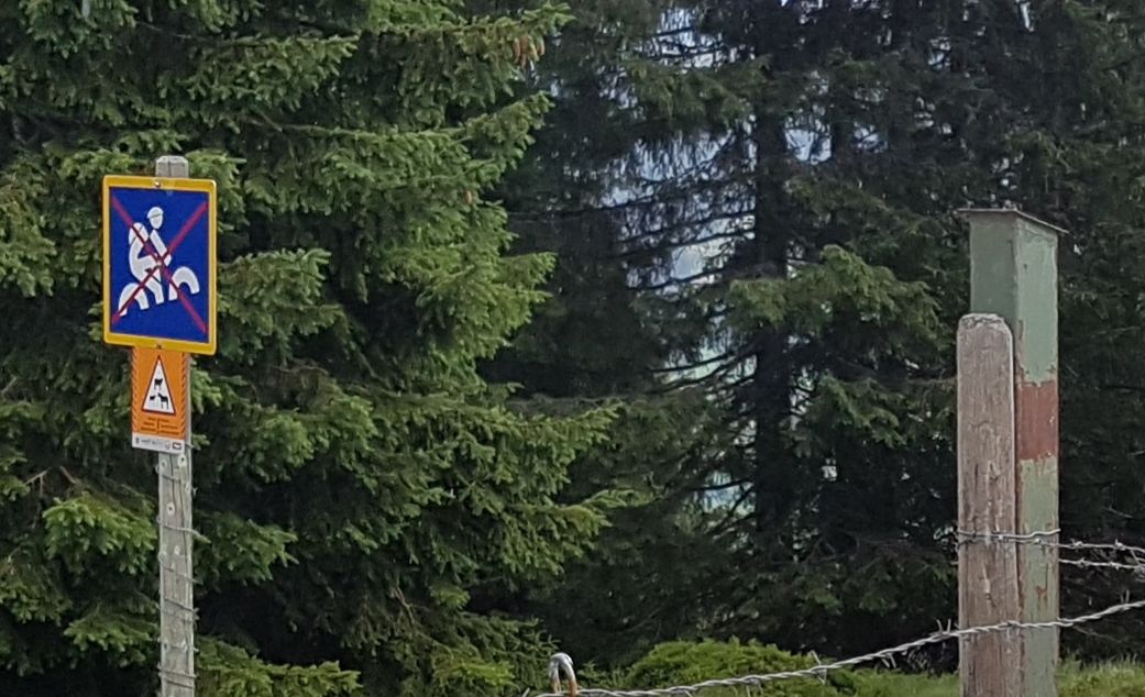 20190714_141826.jpg
