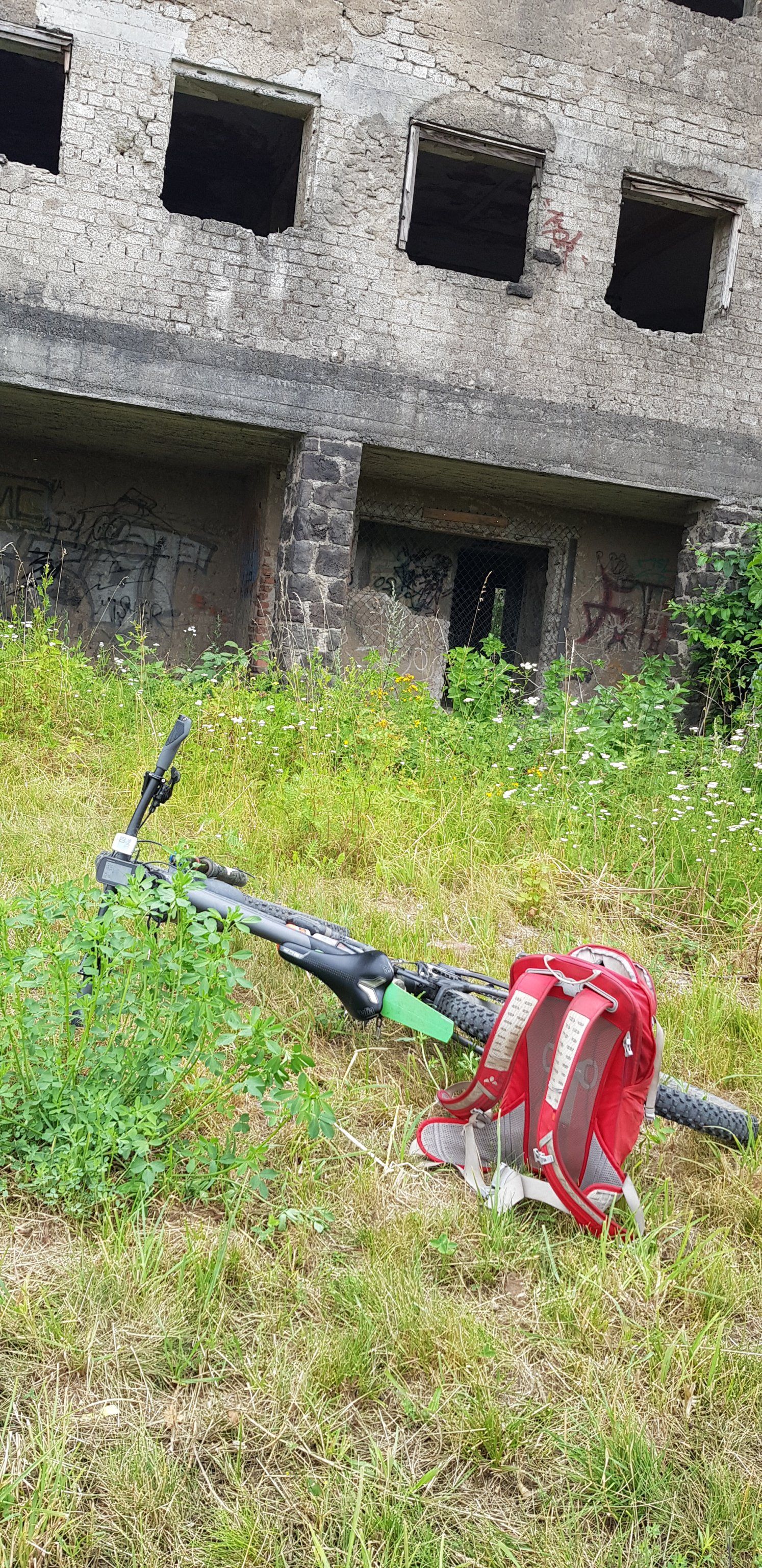 20190715_124802.jpg