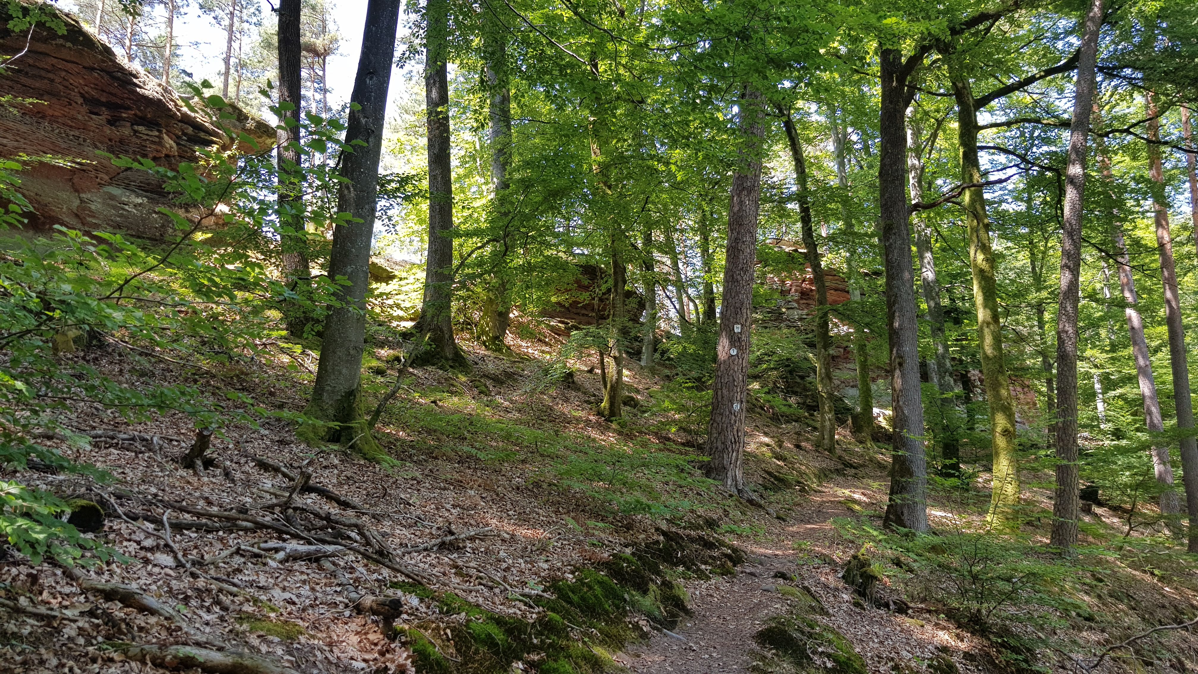 20190716_142012.jpg