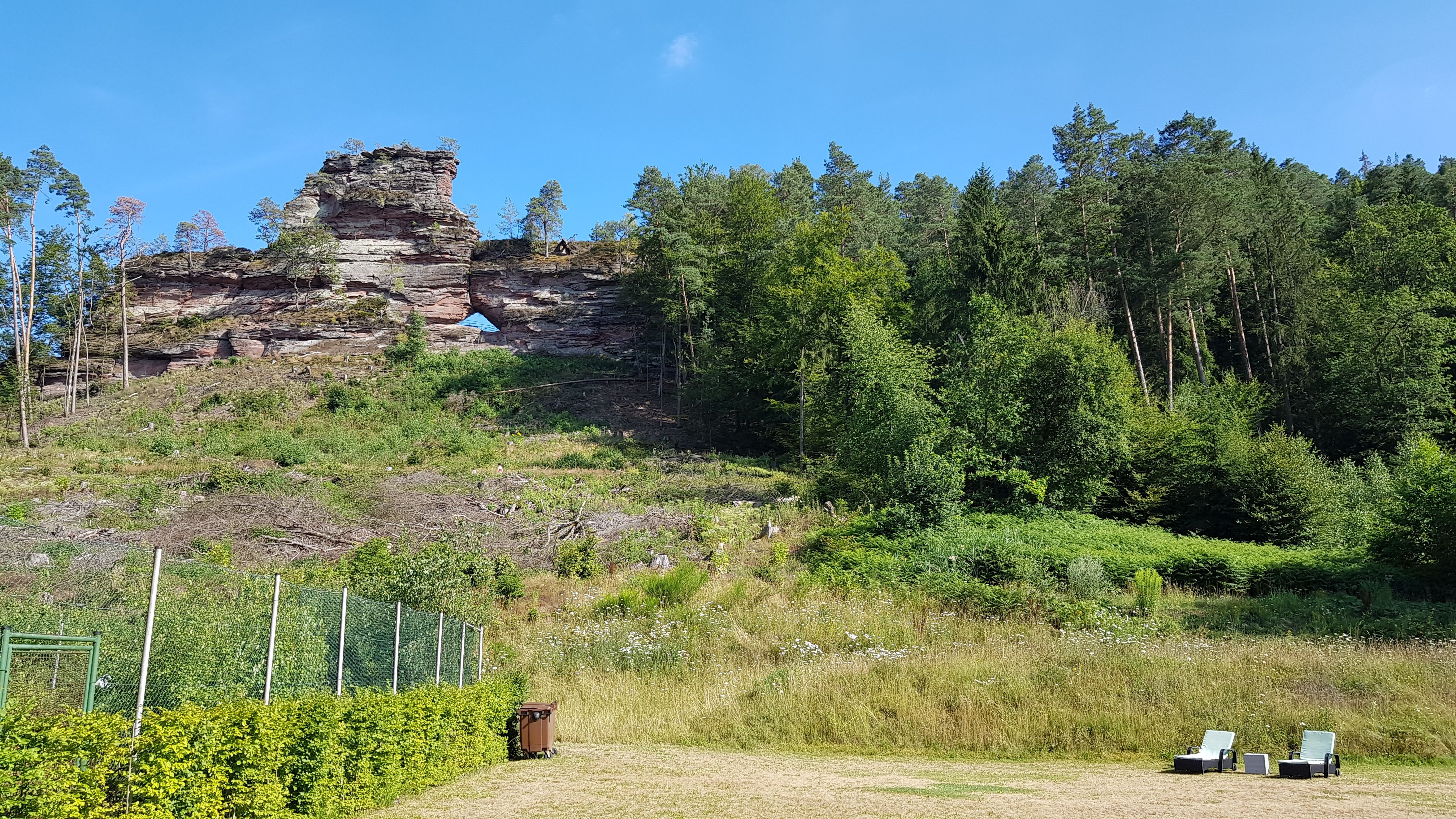 20190716_171950.jpg