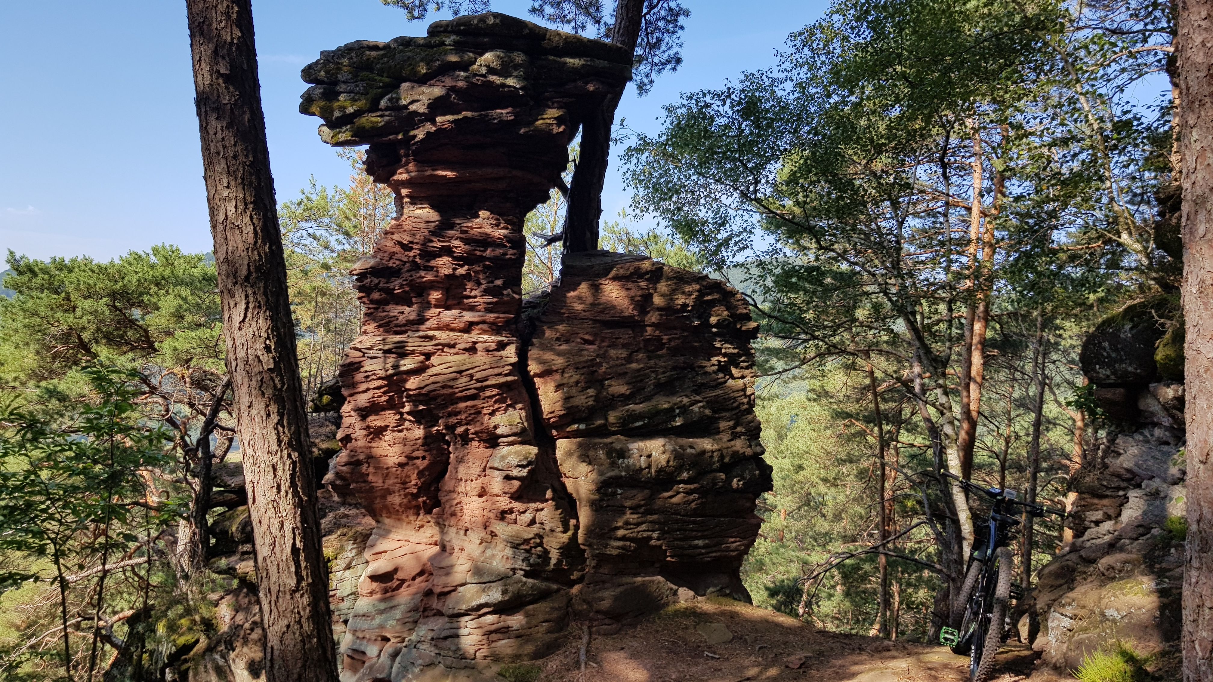 20190717_100546.jpg