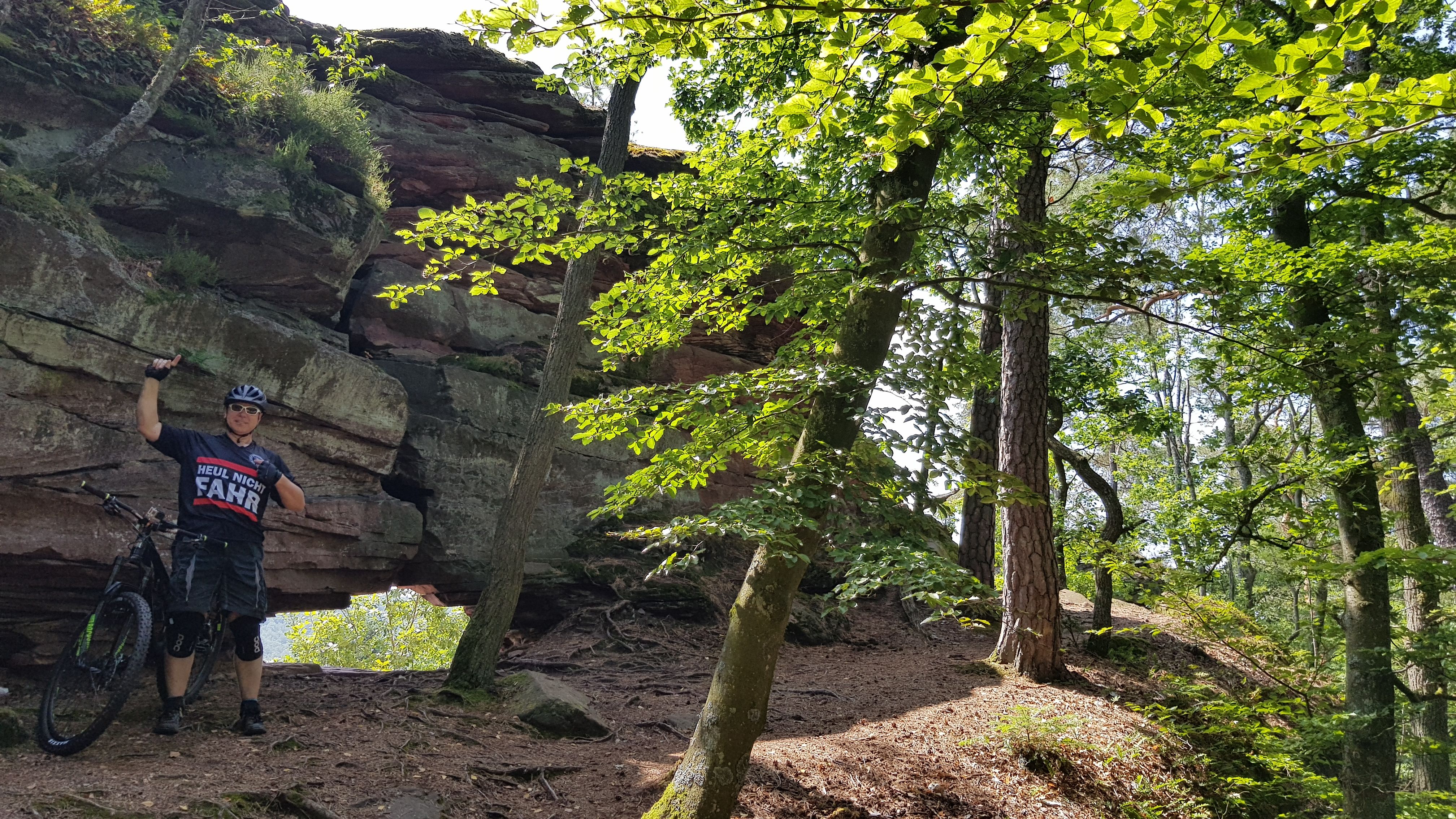 20190717_113820.jpg