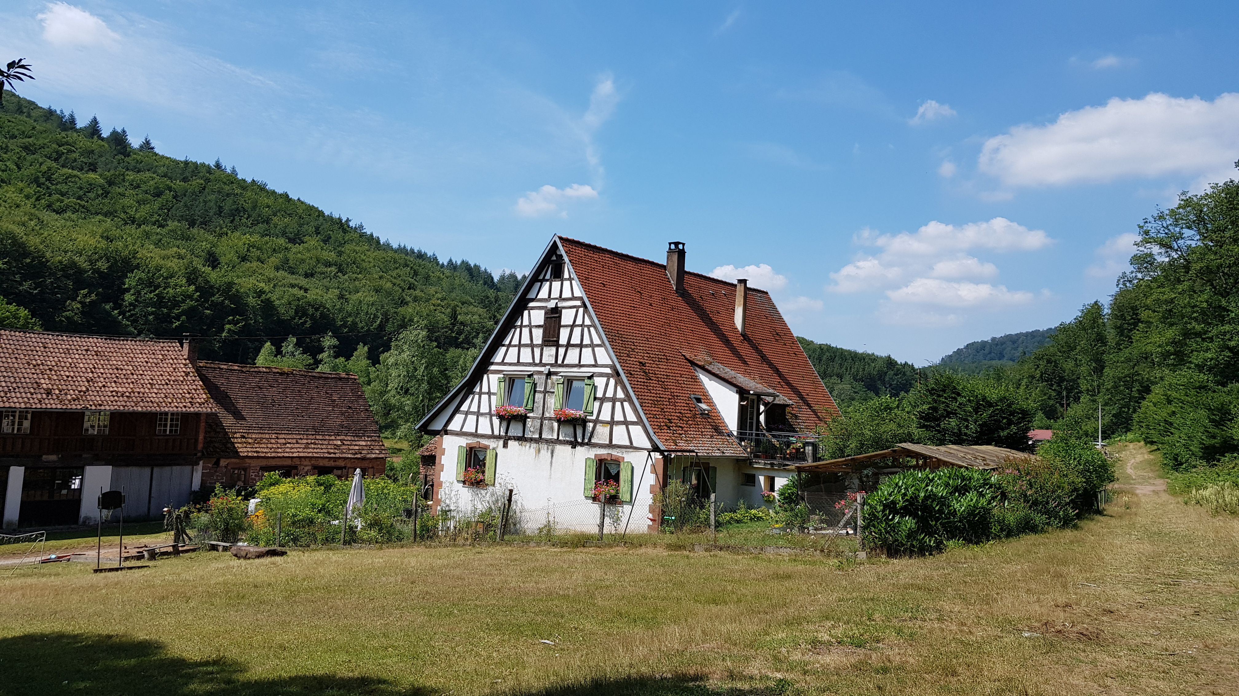 20190717_121906.jpg