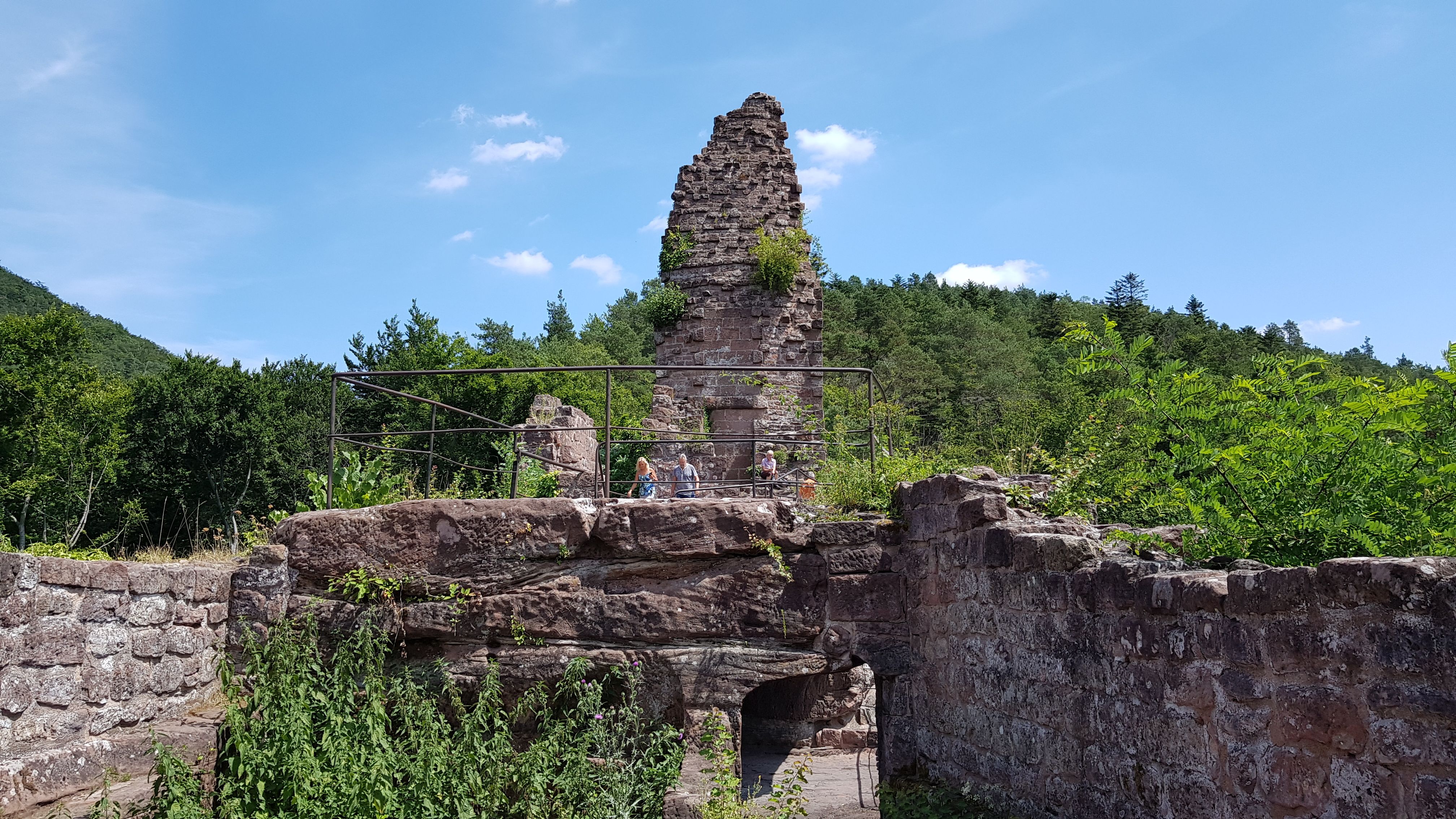 20190717_134707.jpg