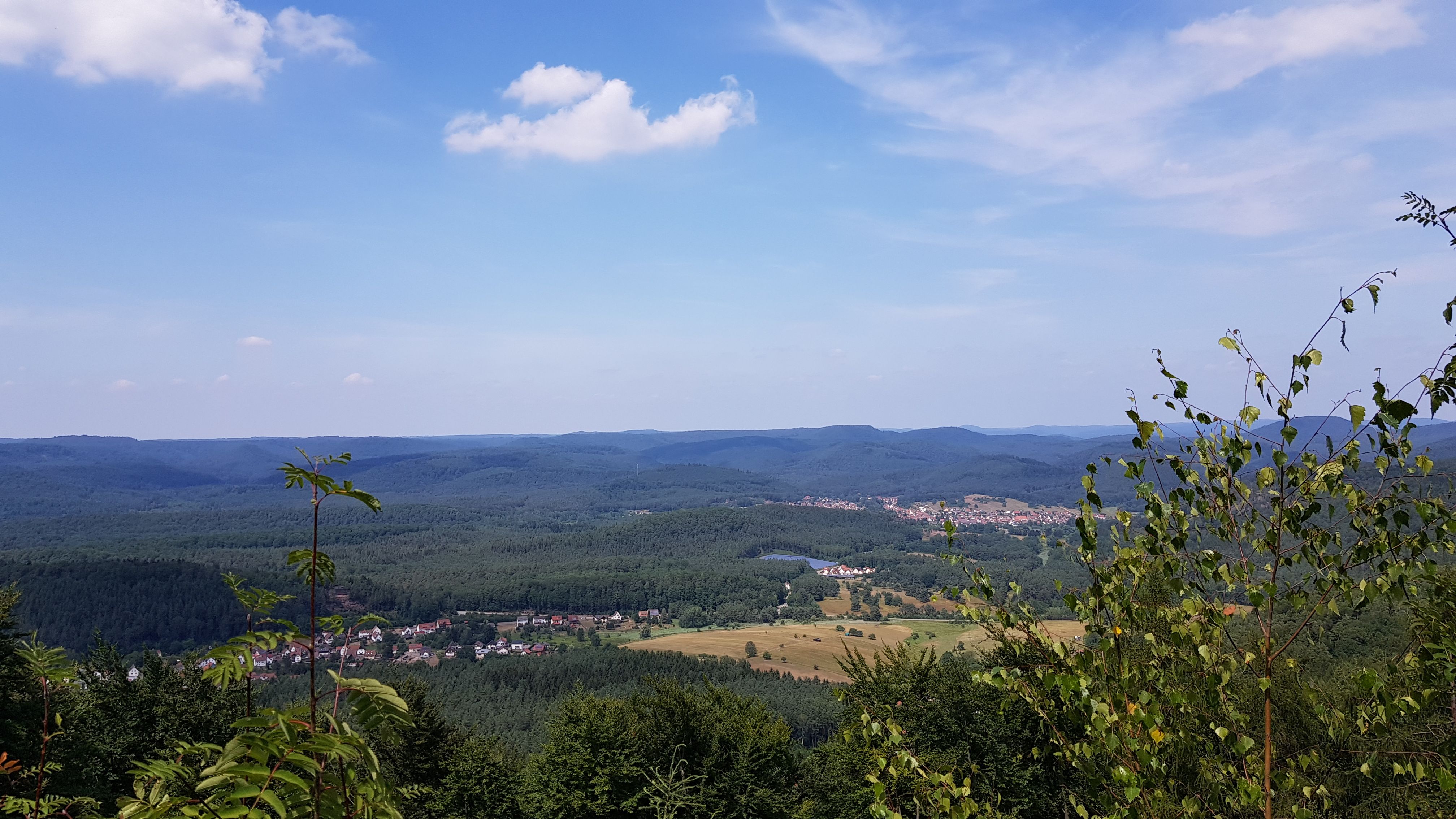 20190717_143334.jpg
