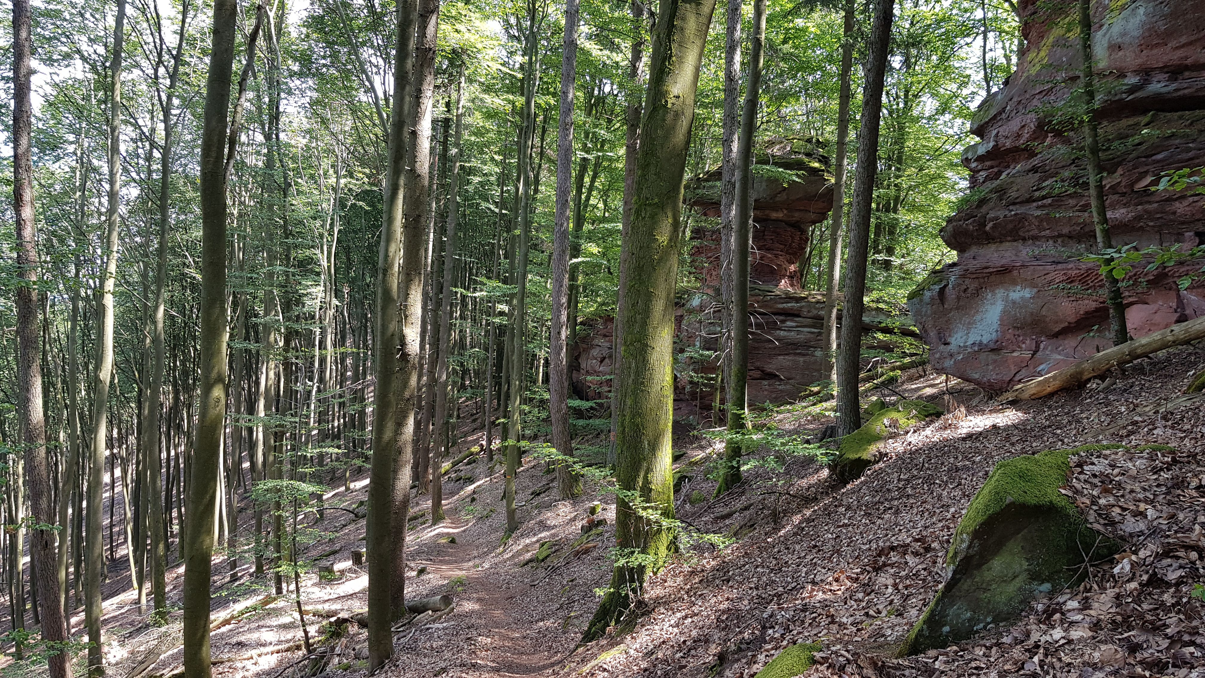 20190717_144204.jpg
