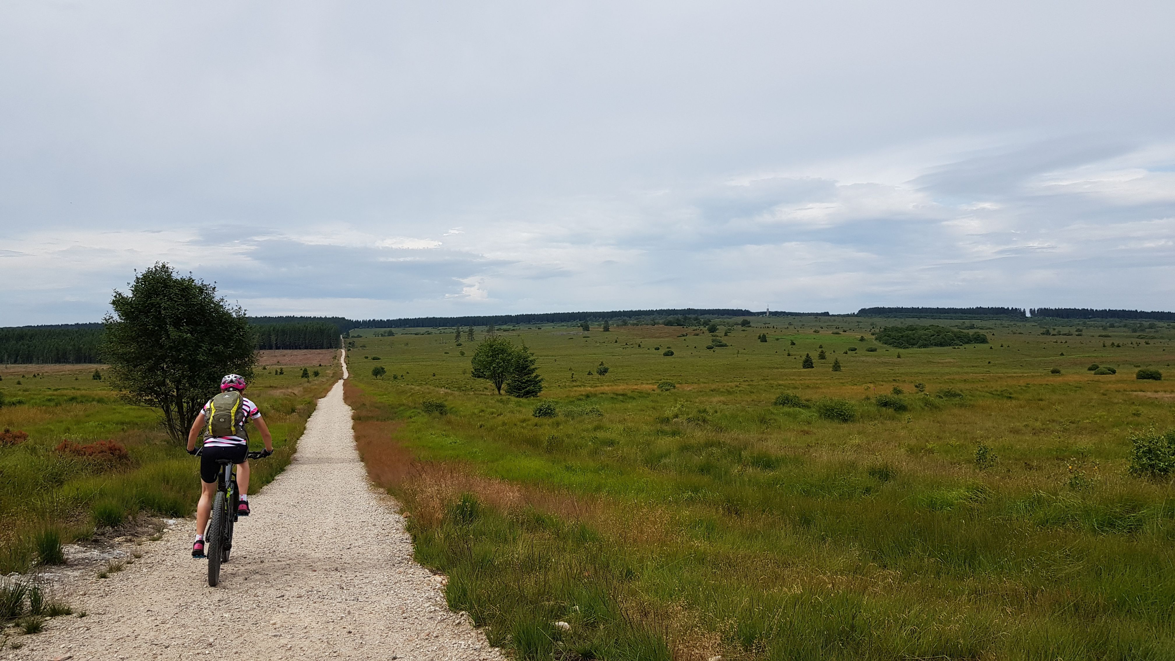 20190720_111130.jpg