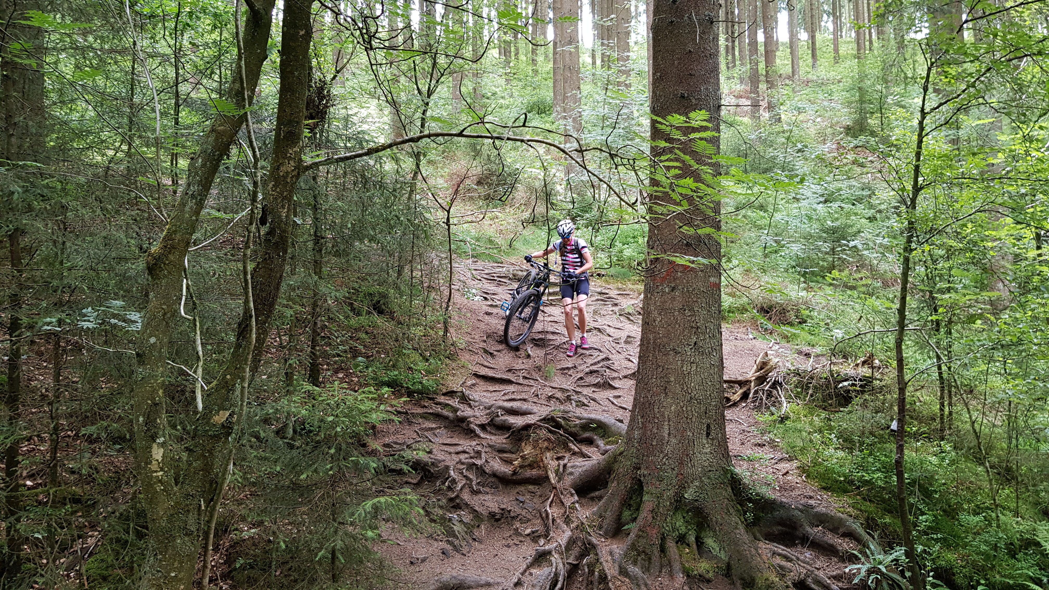 20190720_114207.jpg