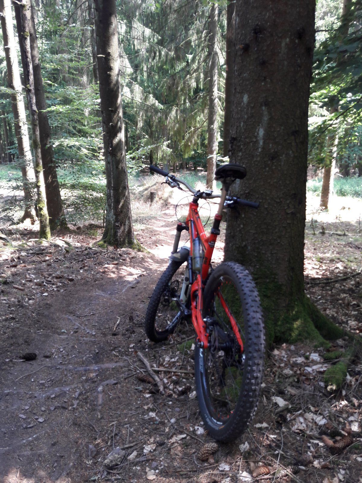 20190802_151557.jpg
