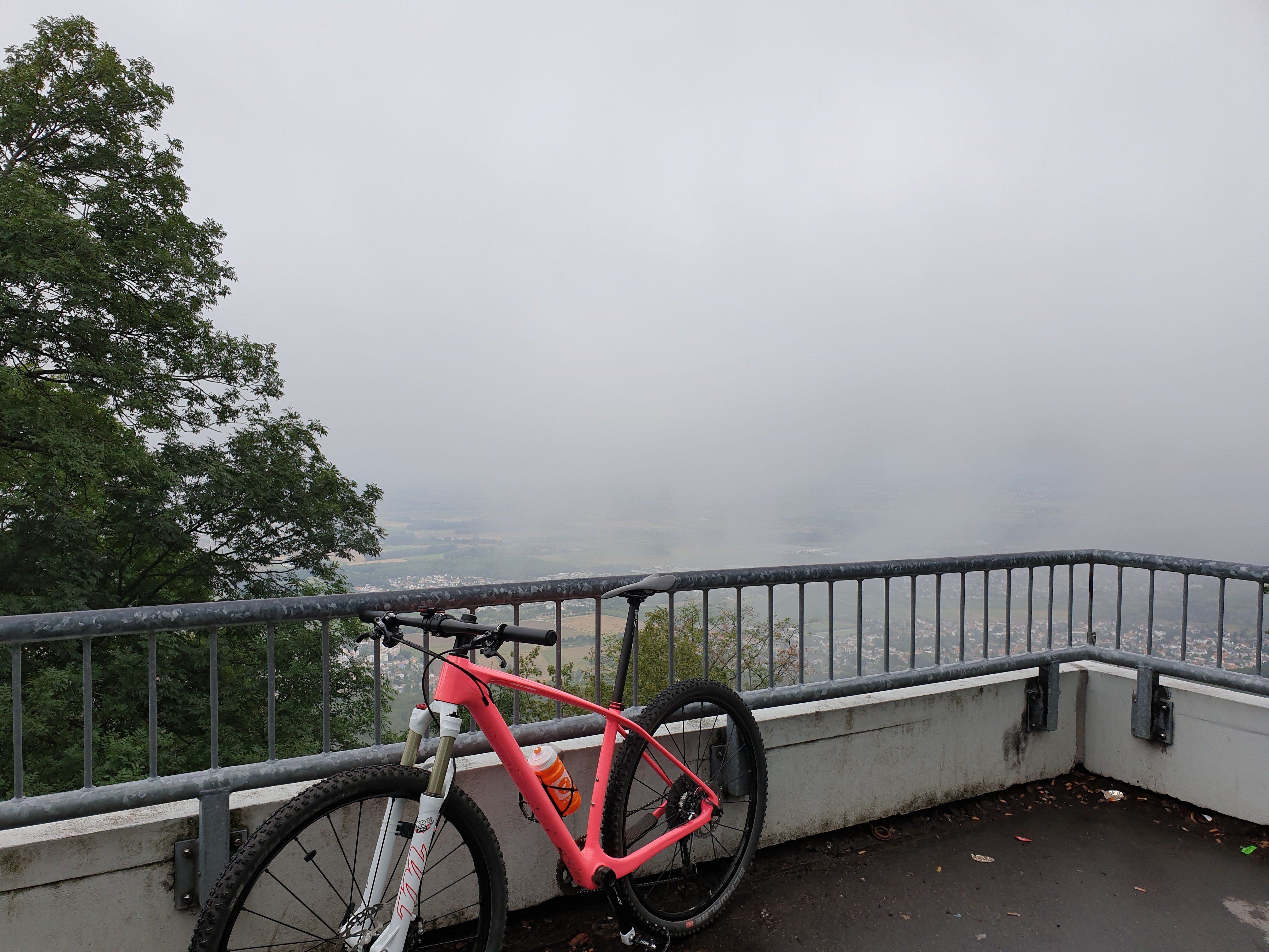 20190807_112203.jpg