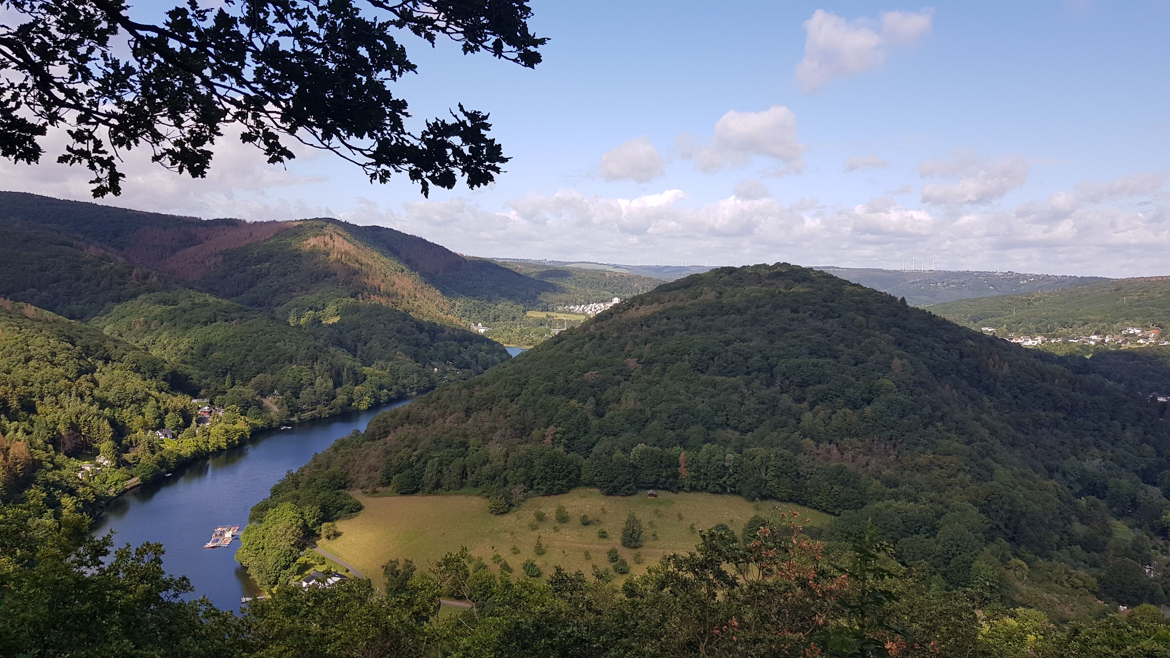 20190810_102716.jpg