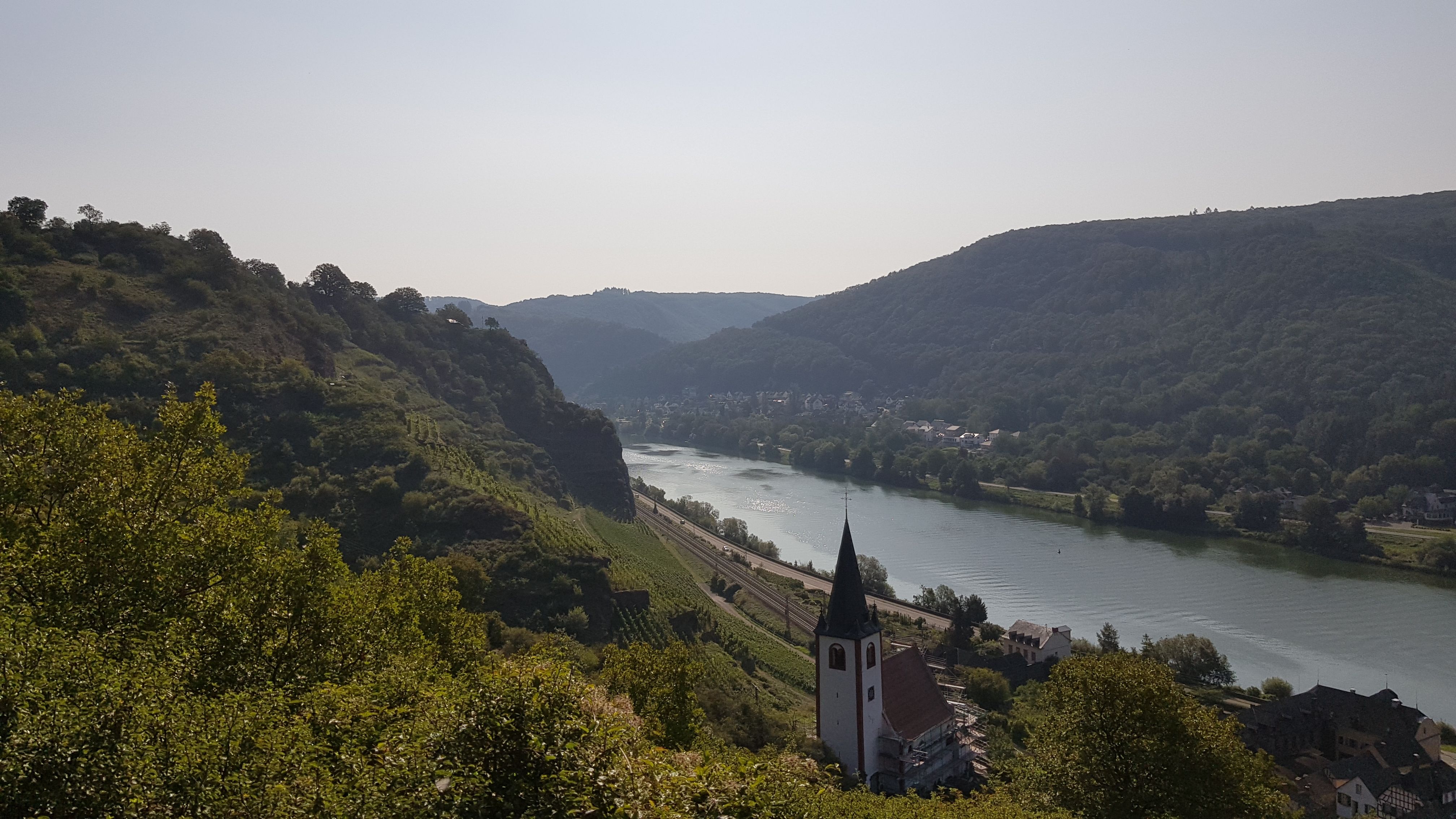 20190831_102545.jpg
