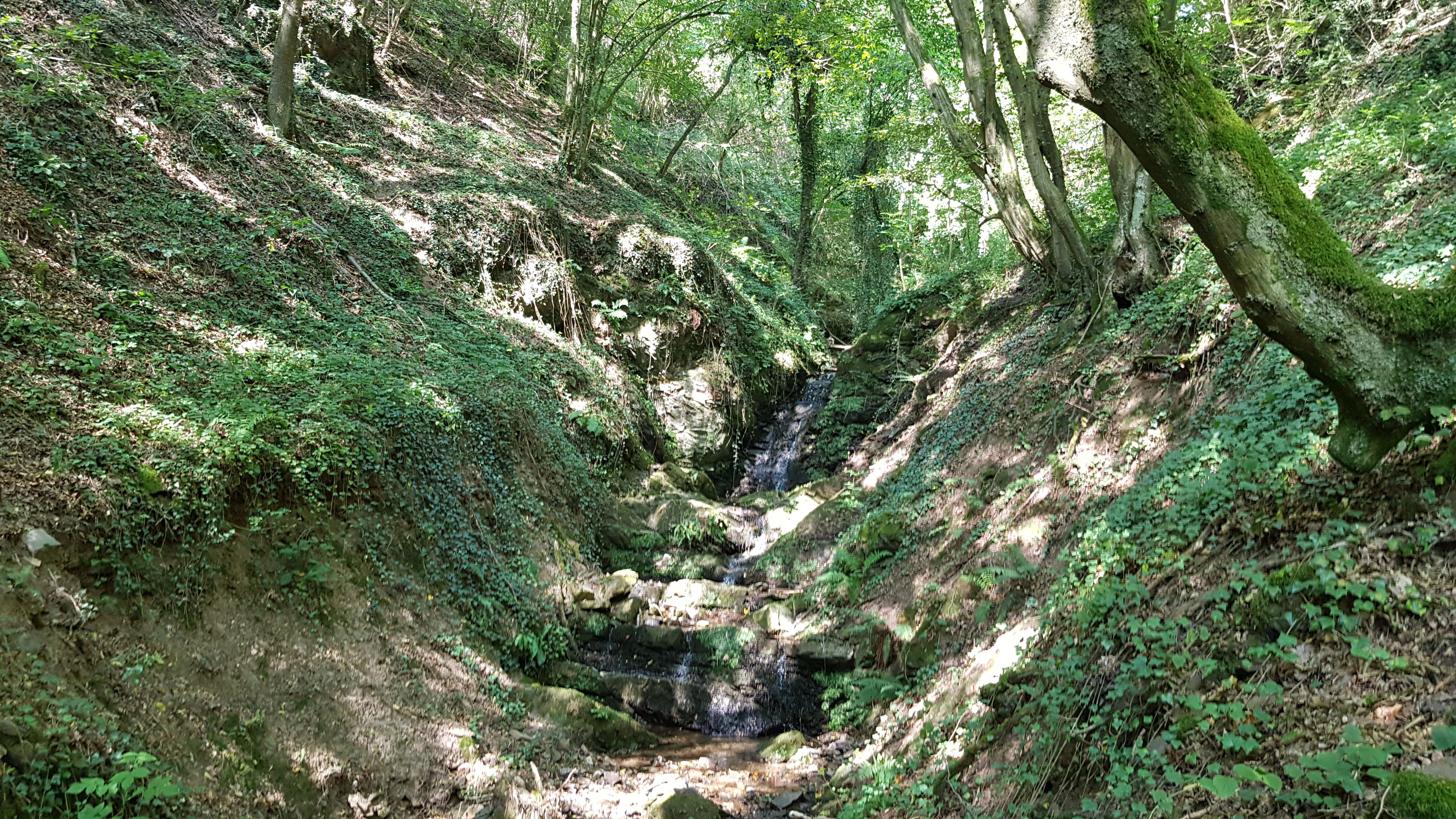 20190831_121528.jpg