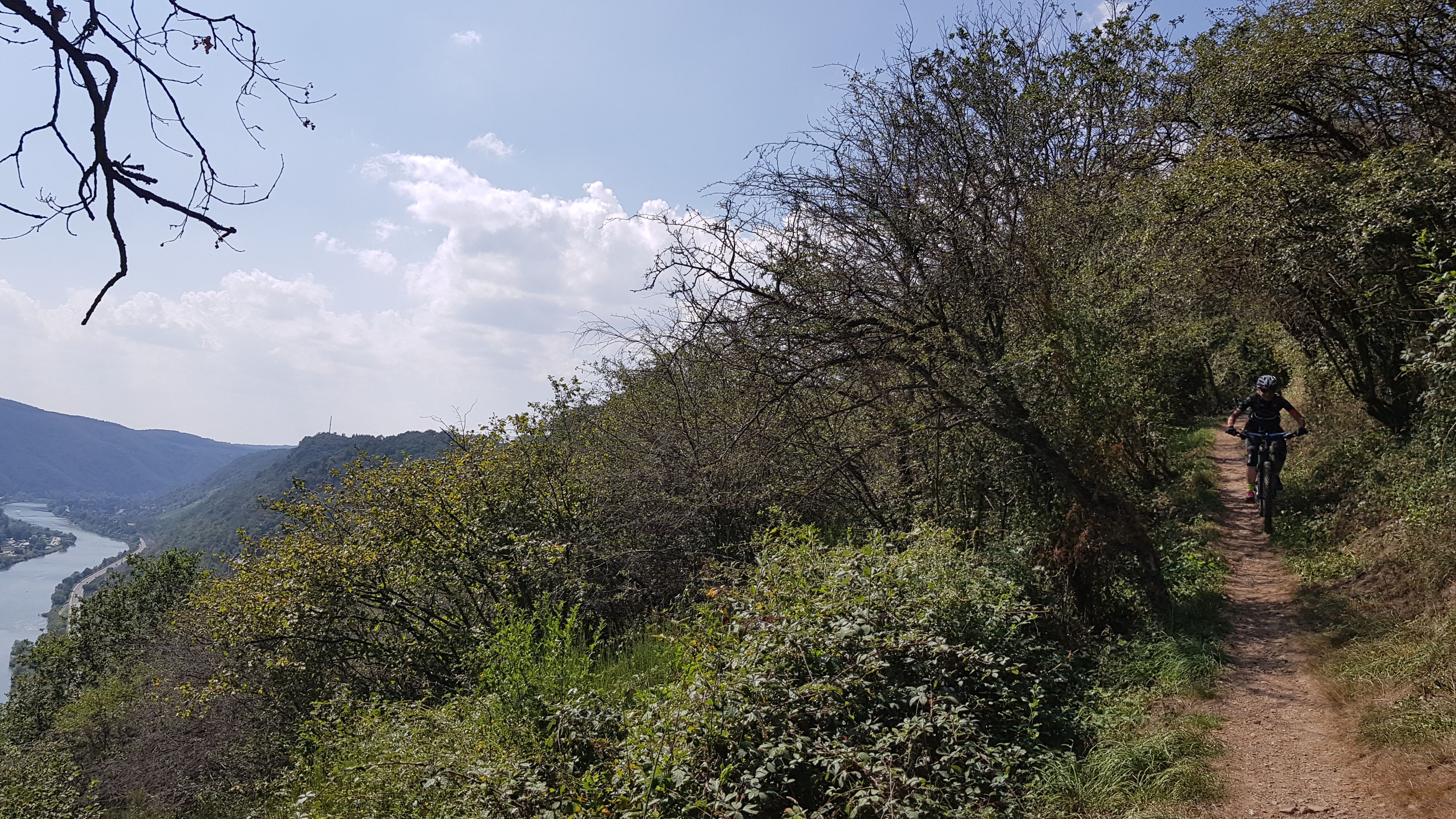 20190831_134234.jpg