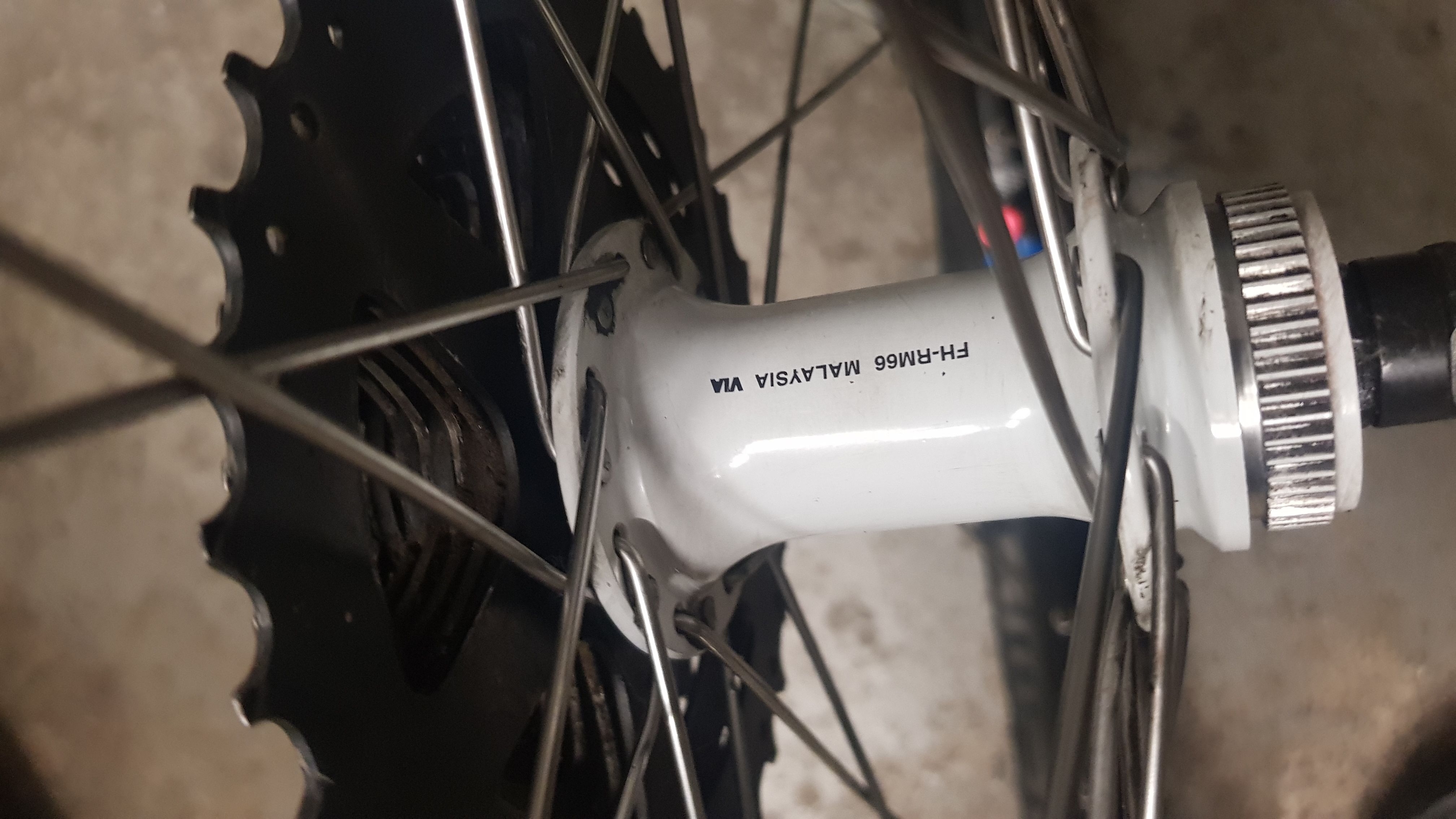20190914_203305.jpg