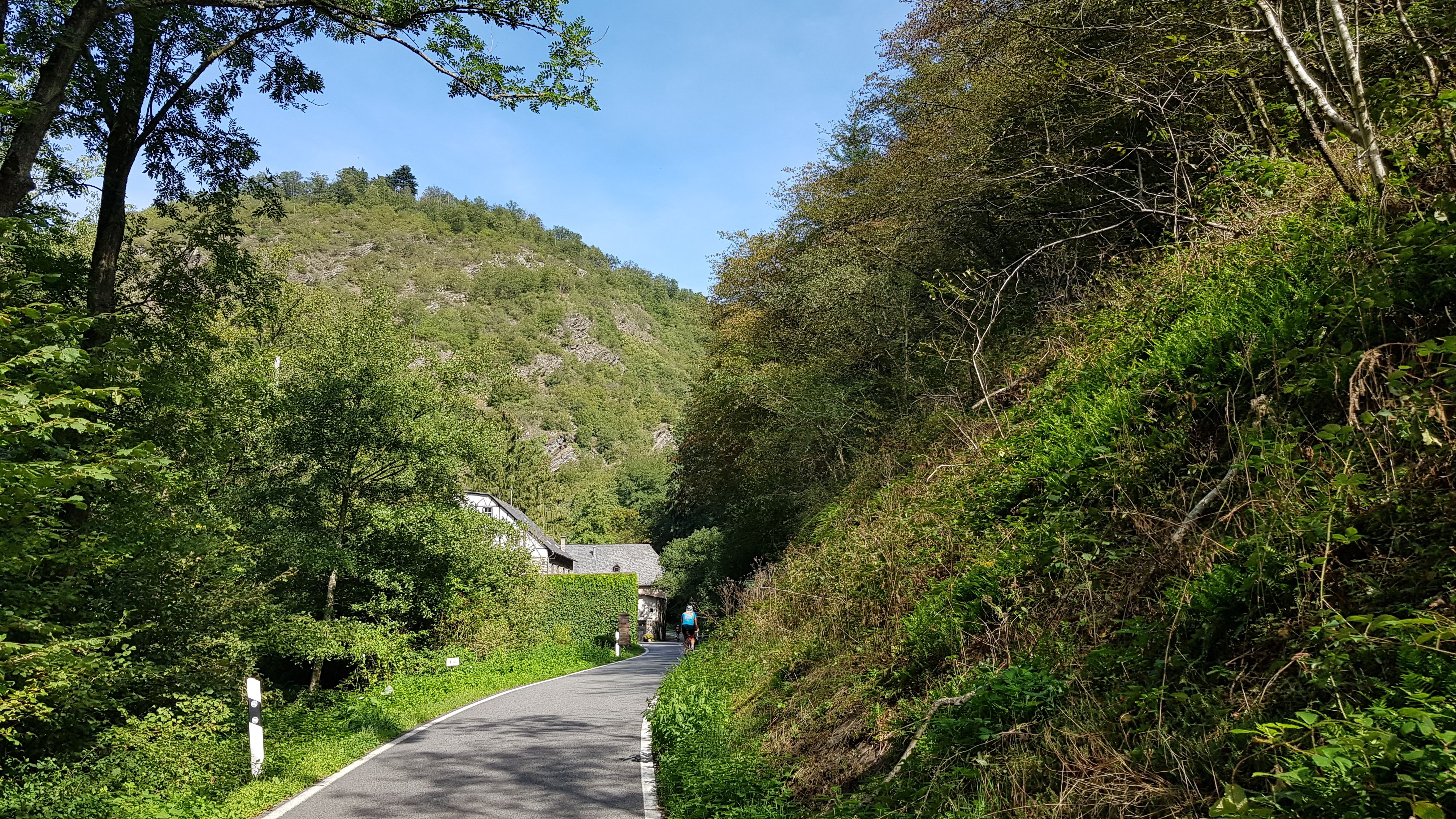 20190915_135953(0).jpg