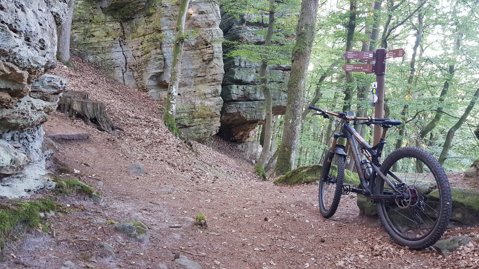 20190921_100320.jpg