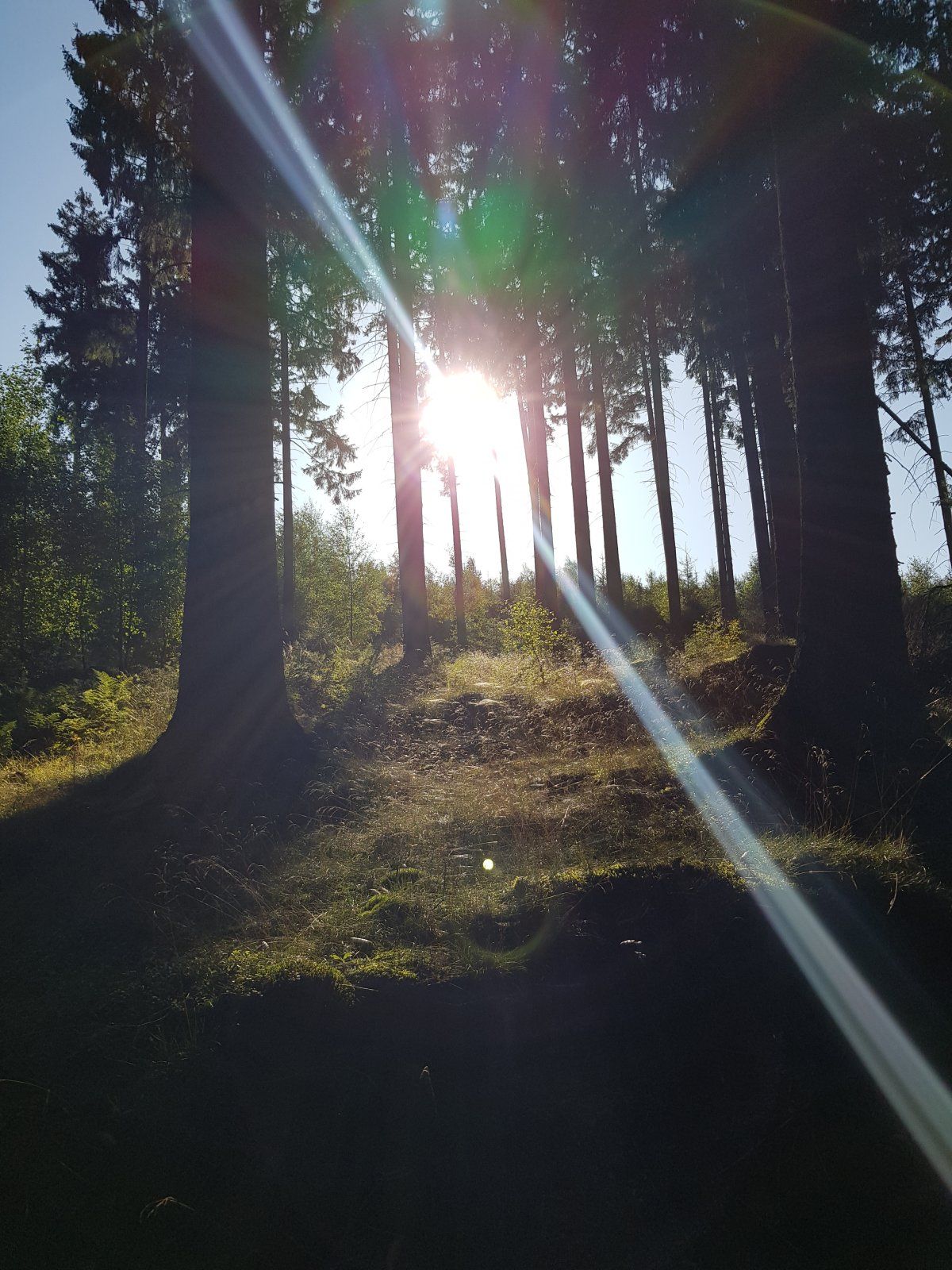 20190921_100724.jpg