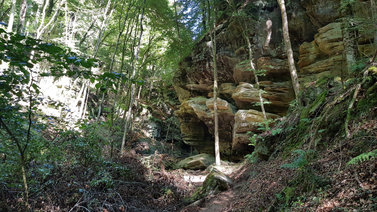 20190921_124751.jpg