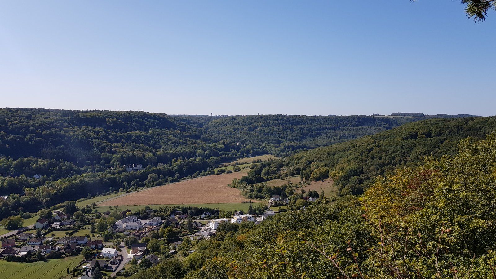 20190921_142626.jpg