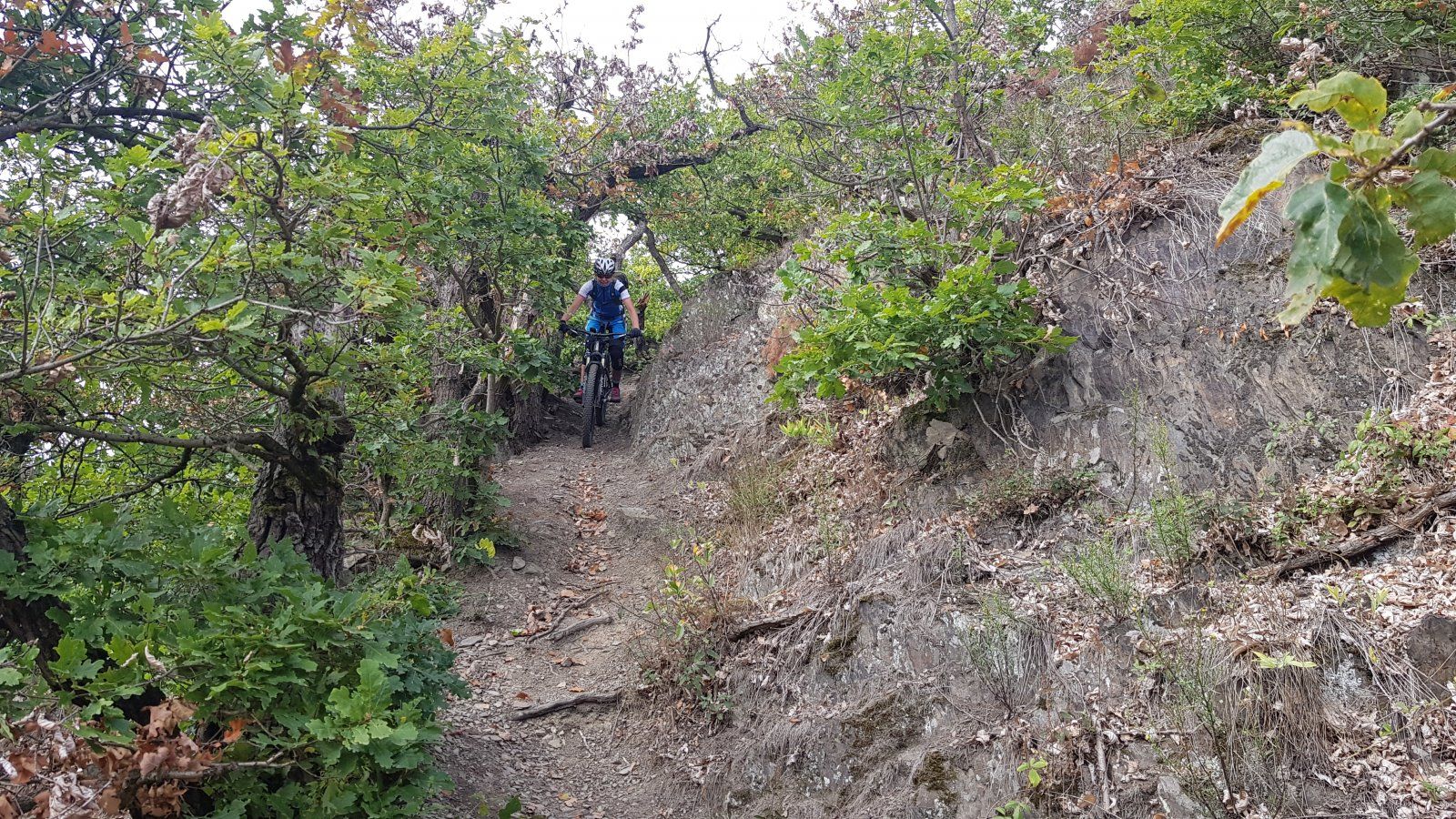 20190928_134624.jpg