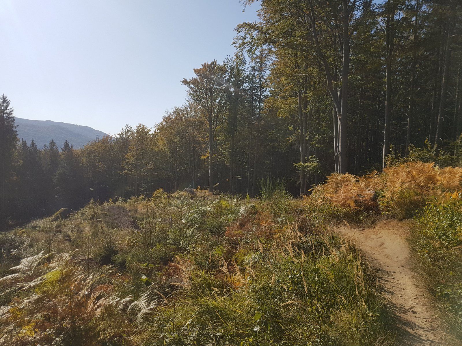 20191007_141821.jpg