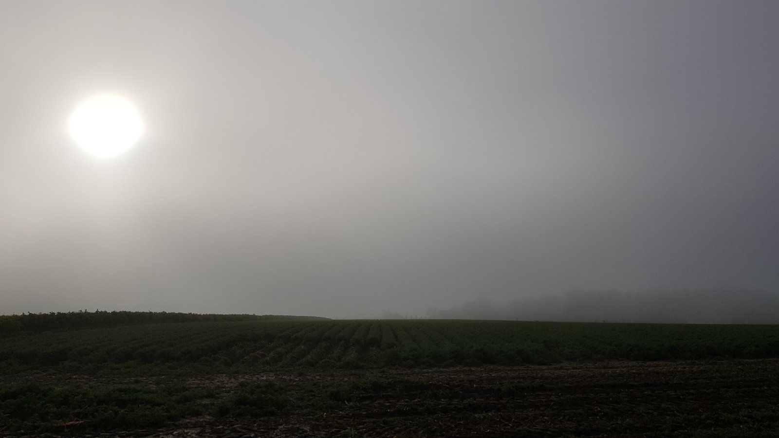 20191110_143637.jpg