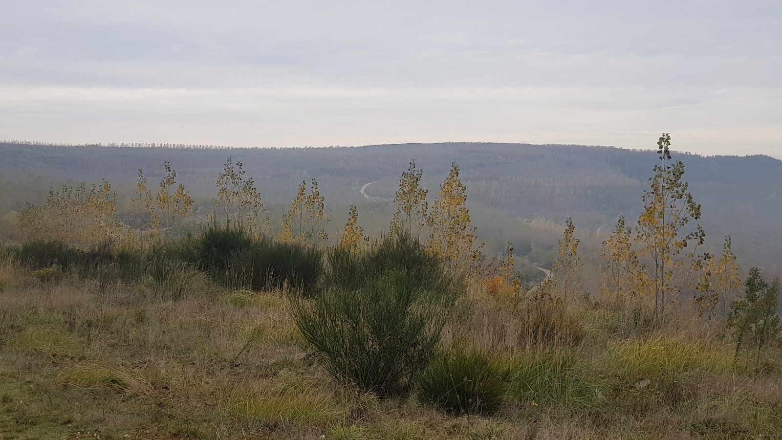 20191117_134313.jpg