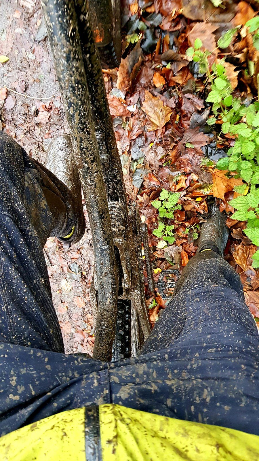 20191207_152815.jpg
