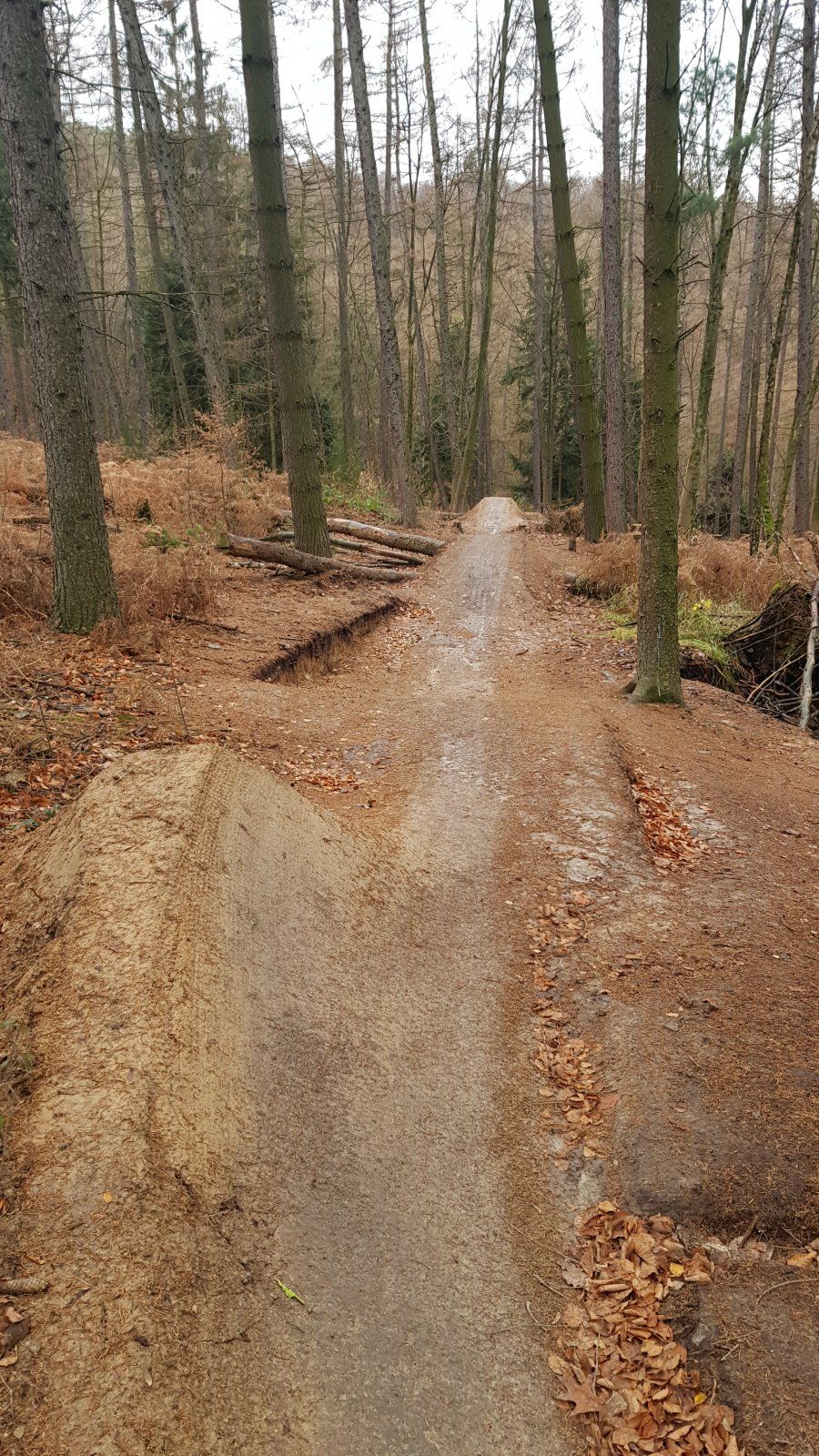 20191213_123539.jpg