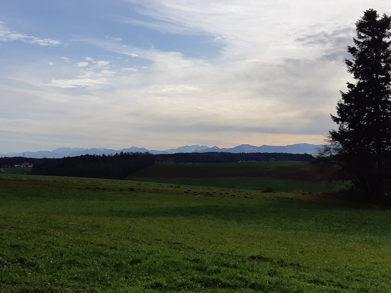 20191224_114432.jpg