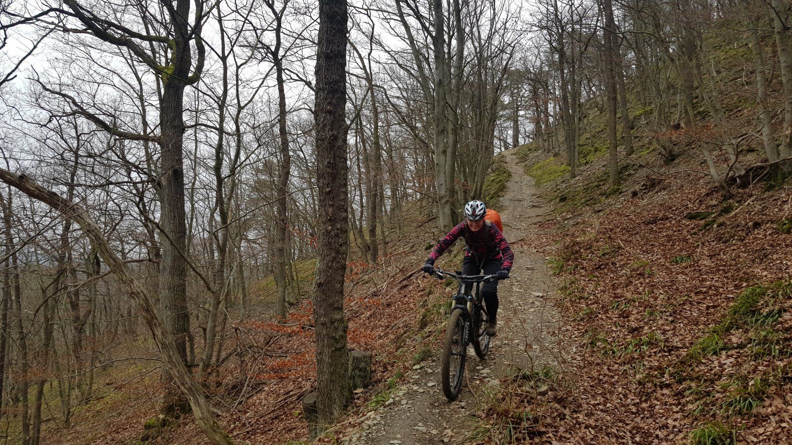 20191231_123937.jpg