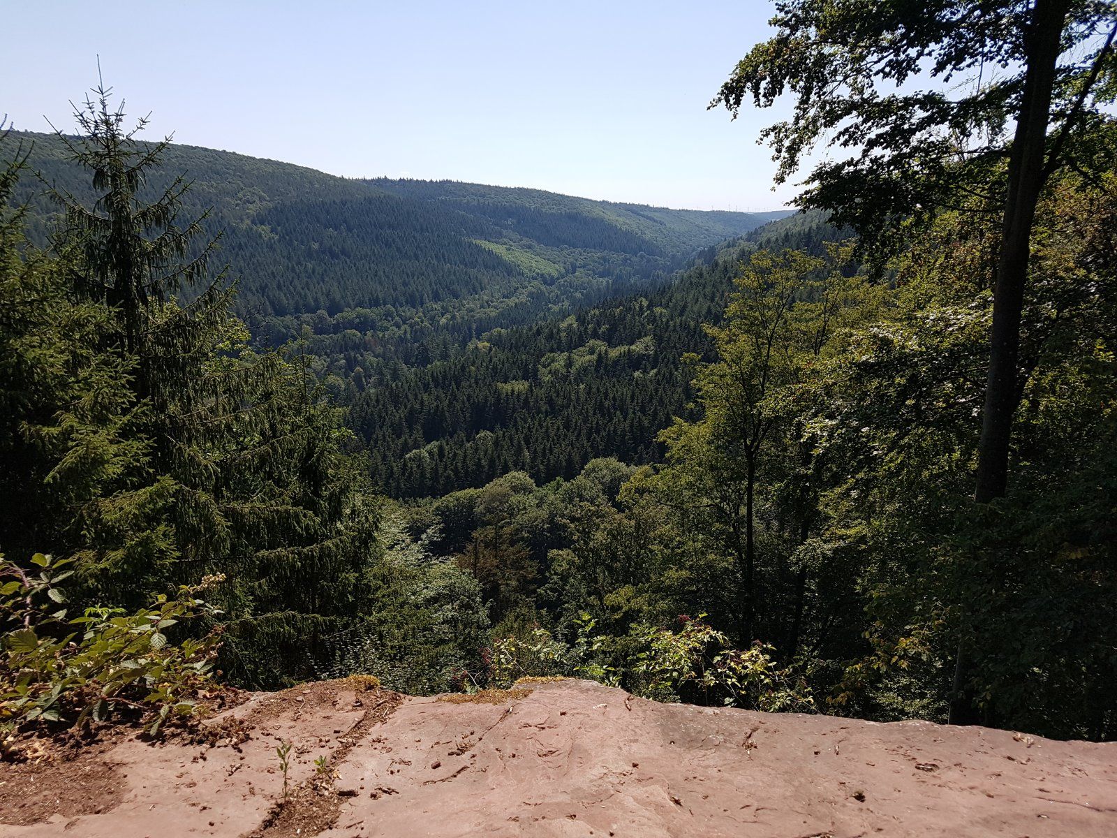 2020-08-07 11.59.44.jpg