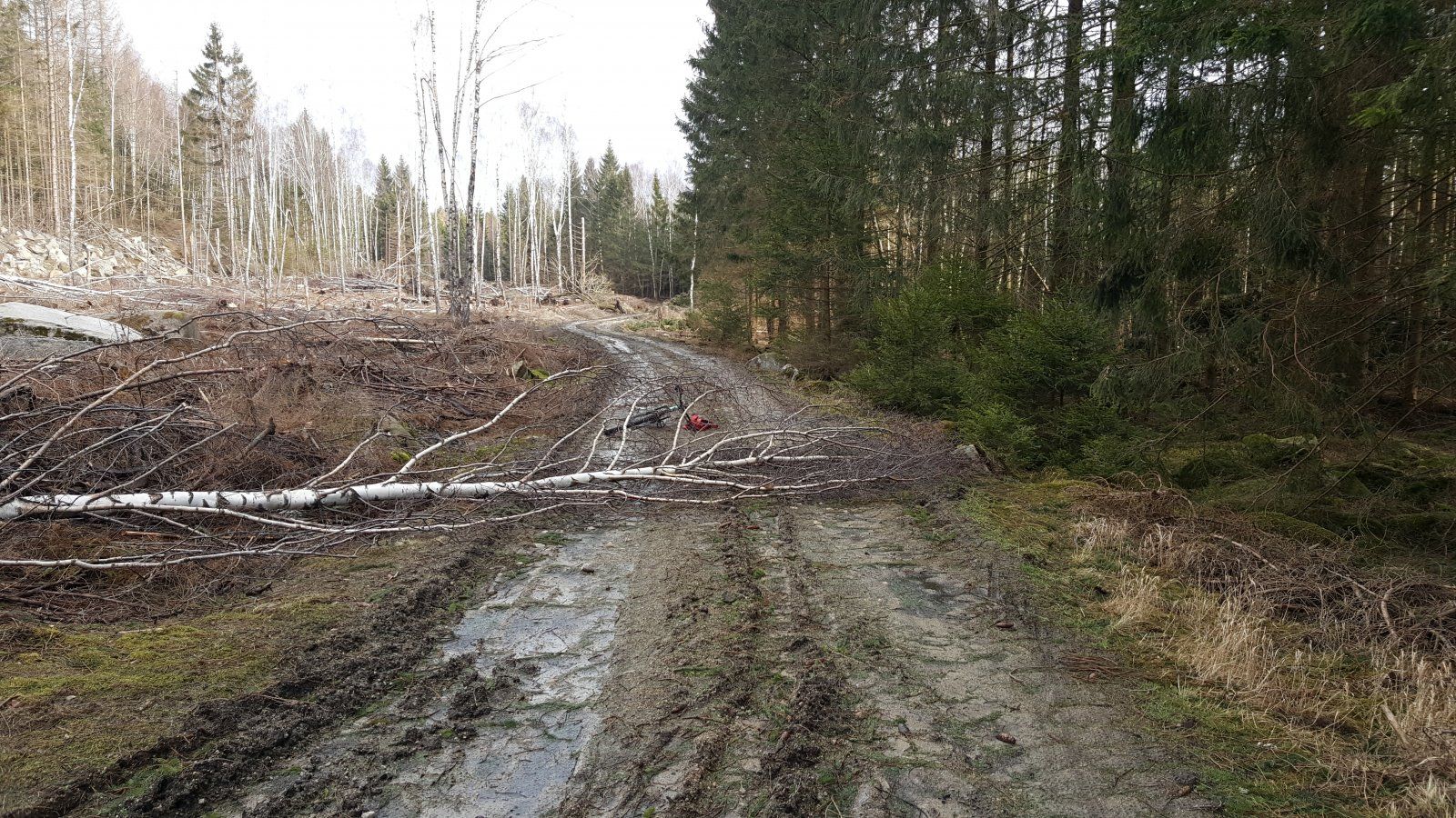 20200304_123440.jpg