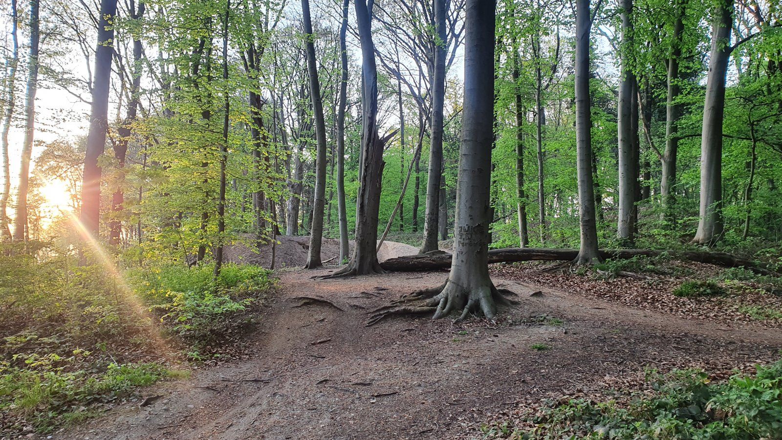 20200416_194230.jpg