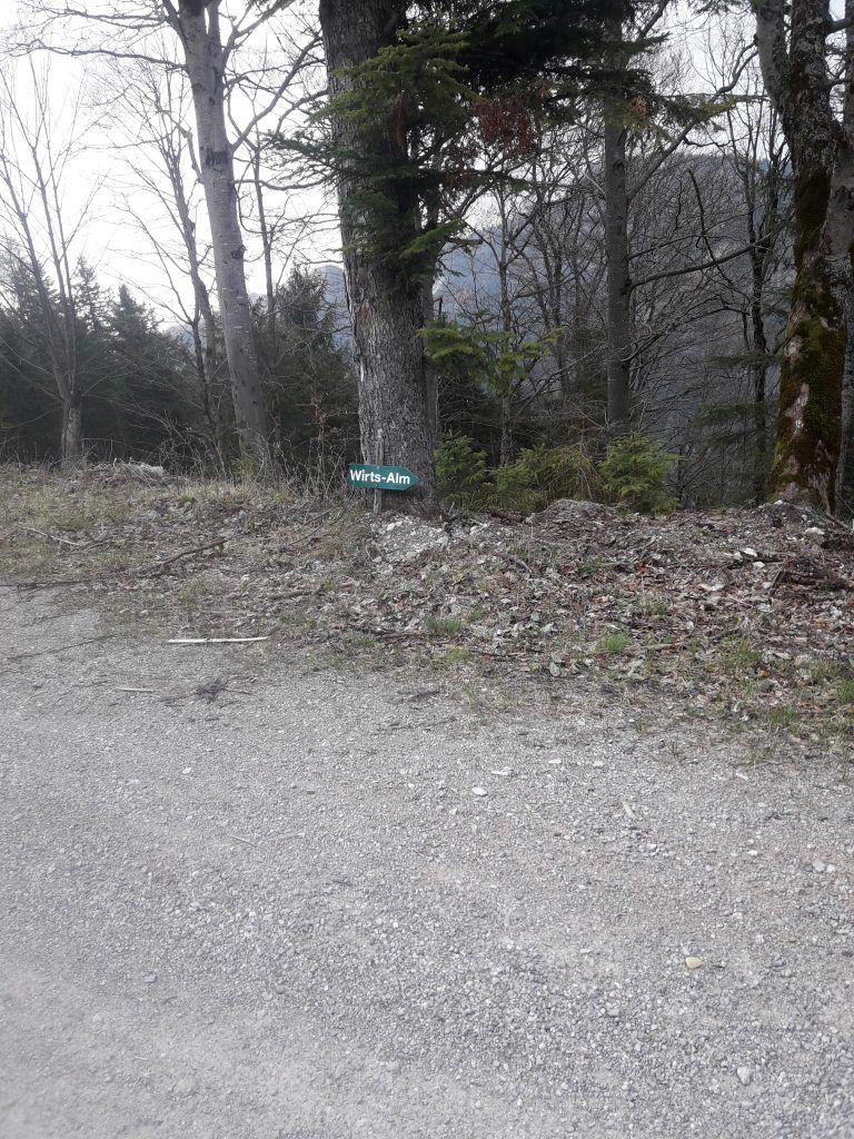 20200418_163832-768x1024.jpg