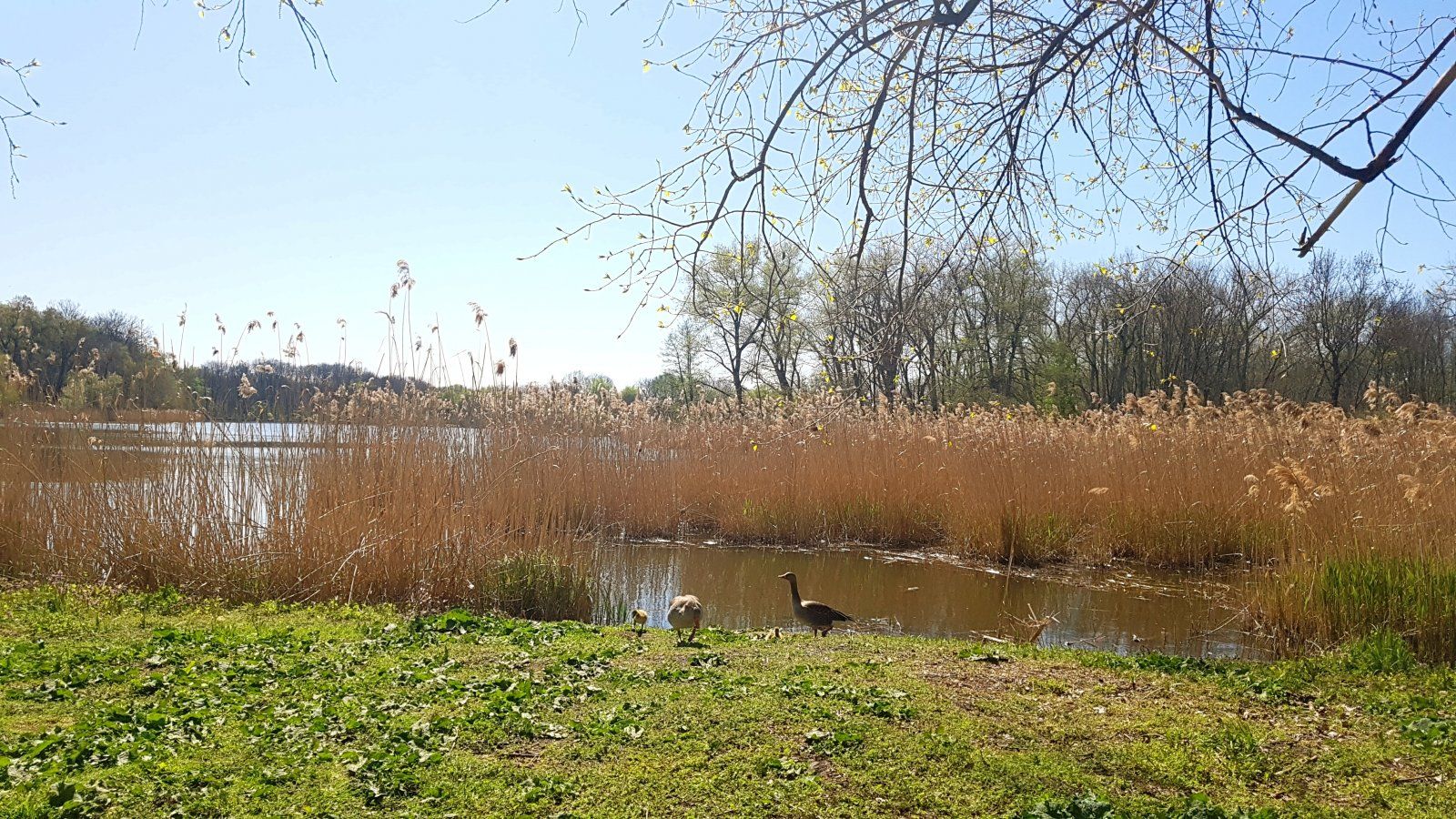 20200419_134024.jpg