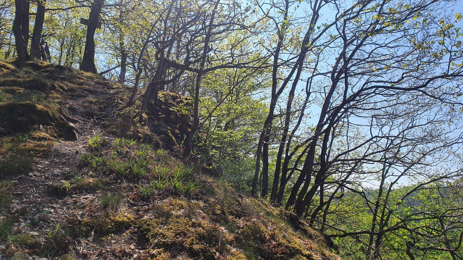 20200425_140300.jpg